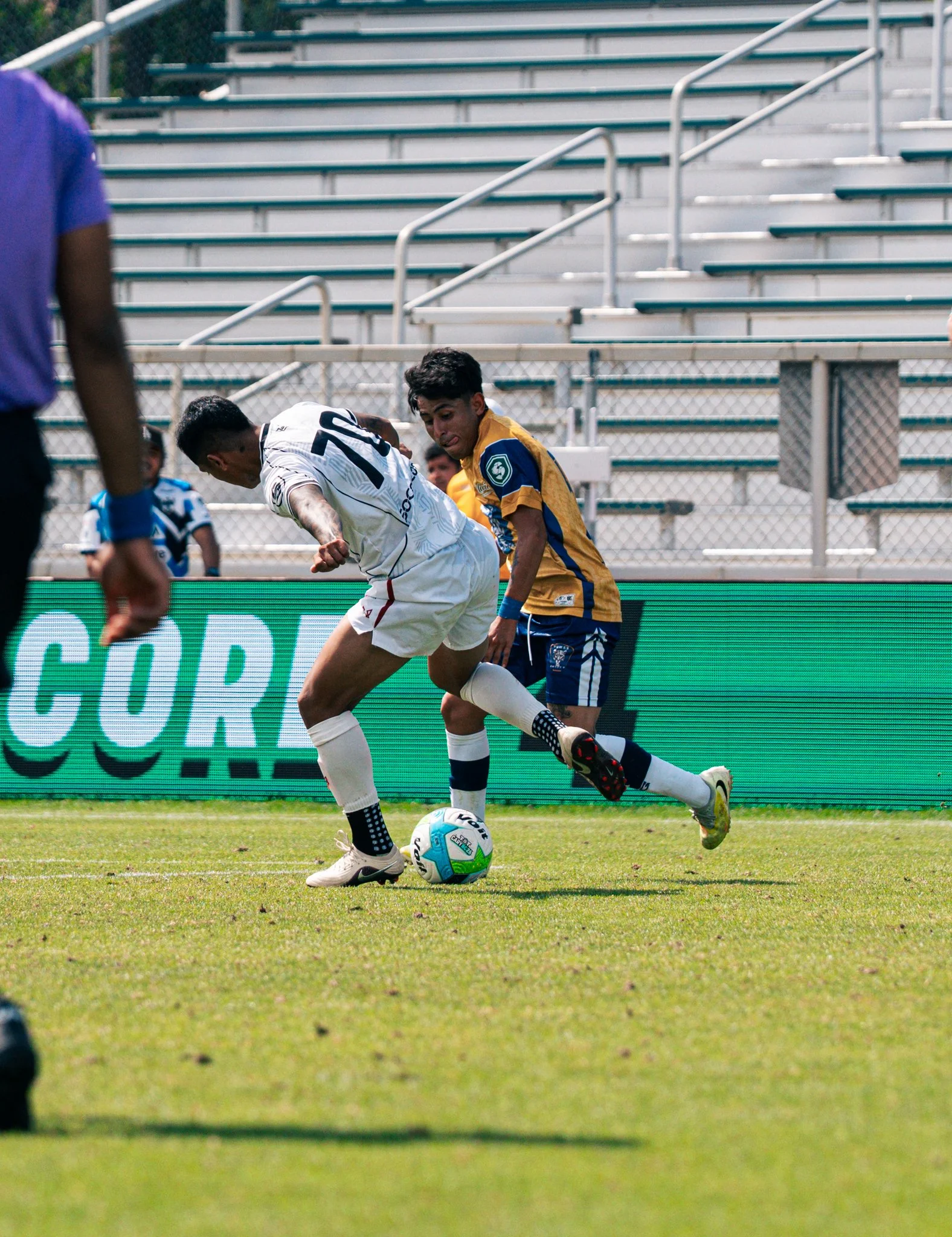 Pumas-34.jpg