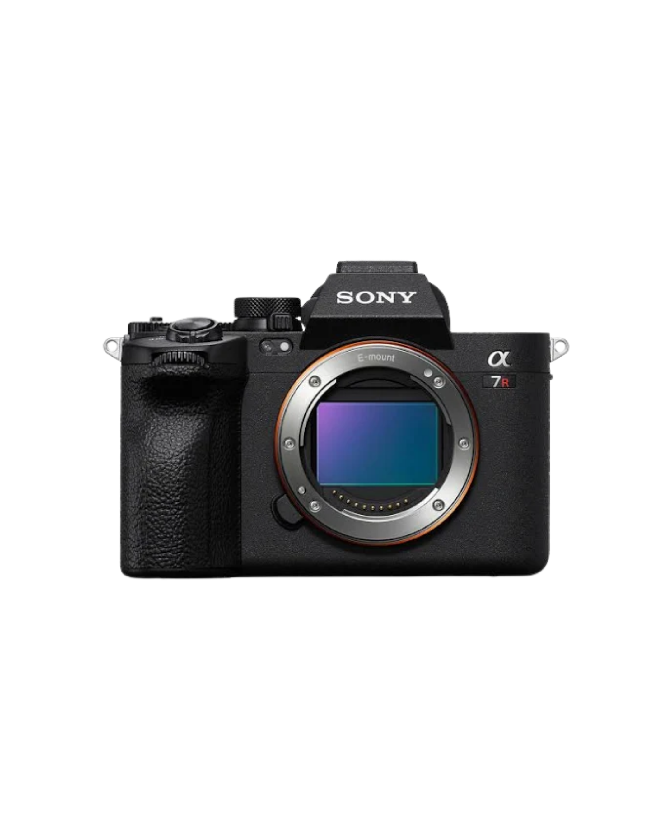 A Sony mirrorless camera with a black textured grip, black top, silver lens mount, and a colorful display screen.