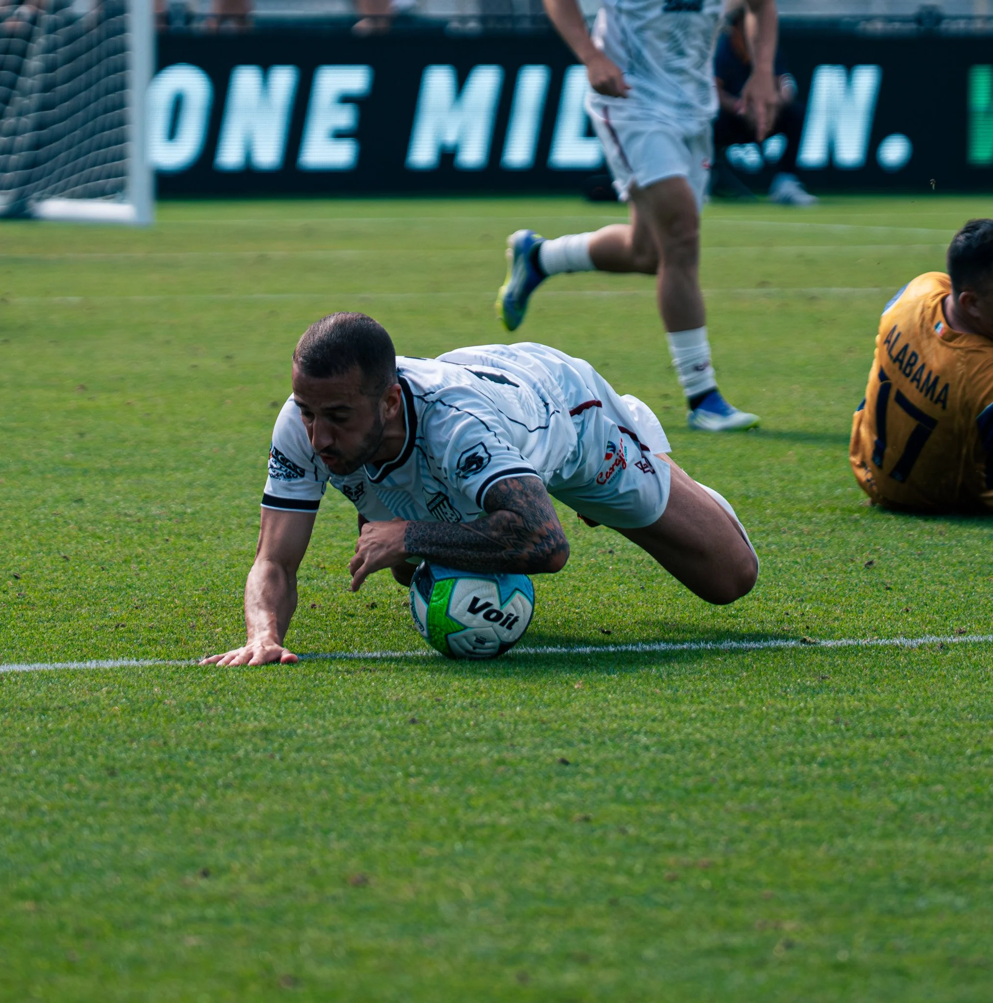 Pumas-180.jpg