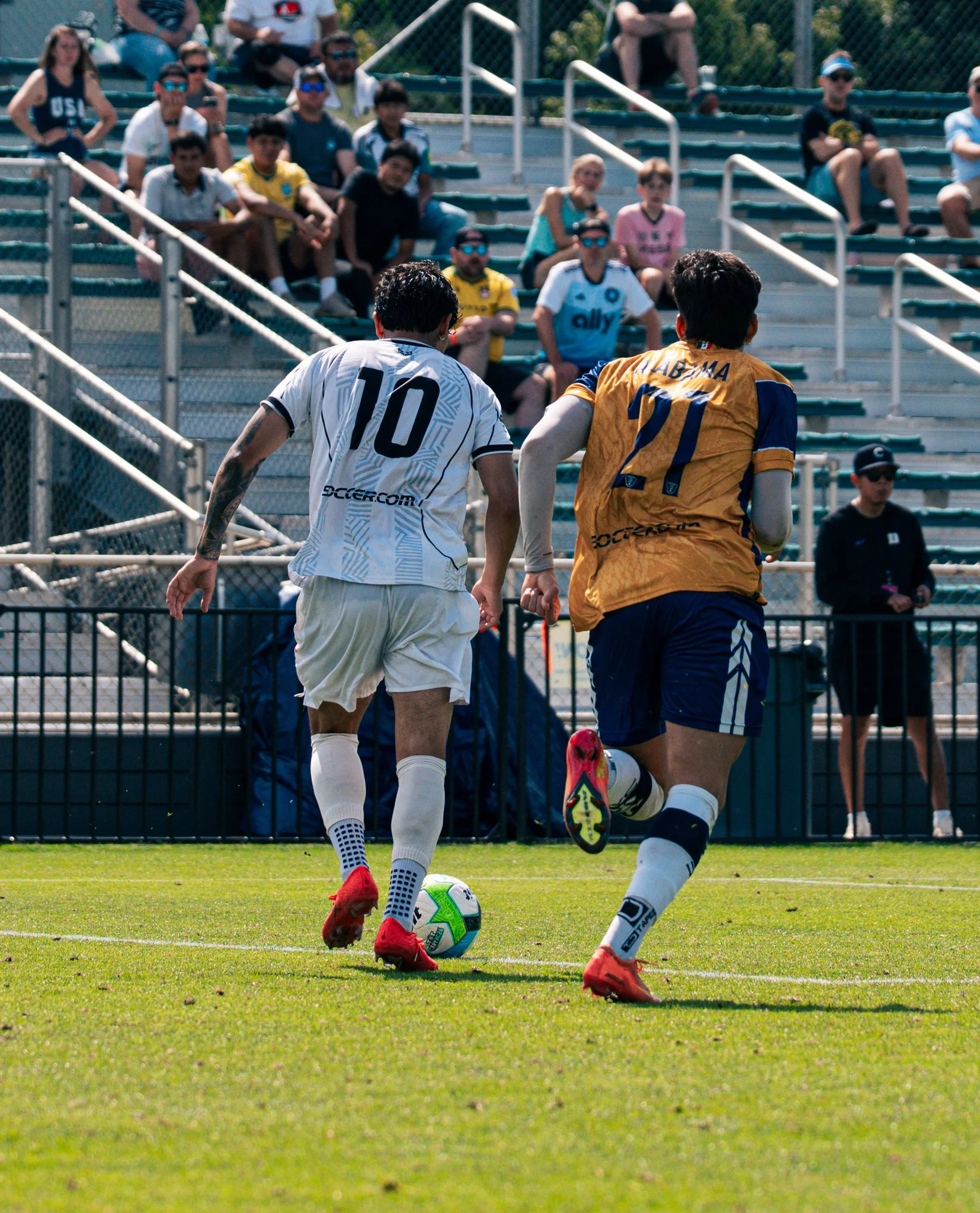 Pumas-42.jpg