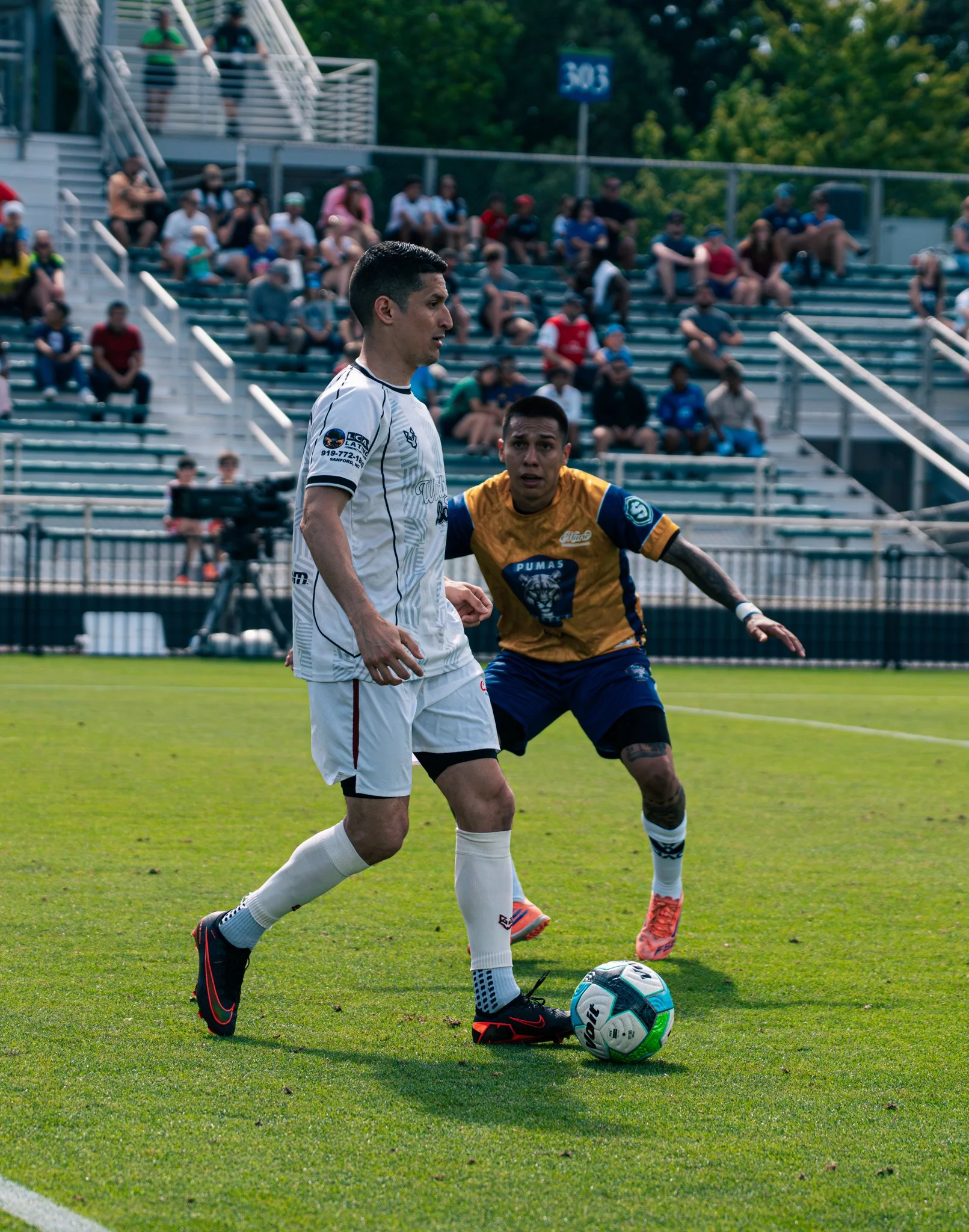 Pumas-152.jpg