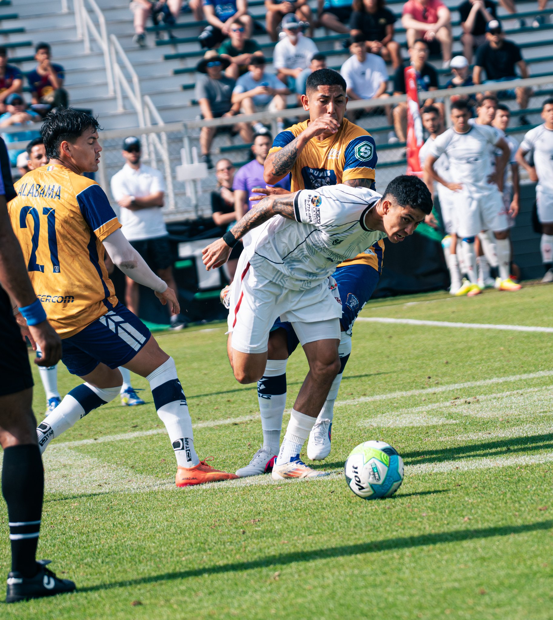 Pumas-190.jpg