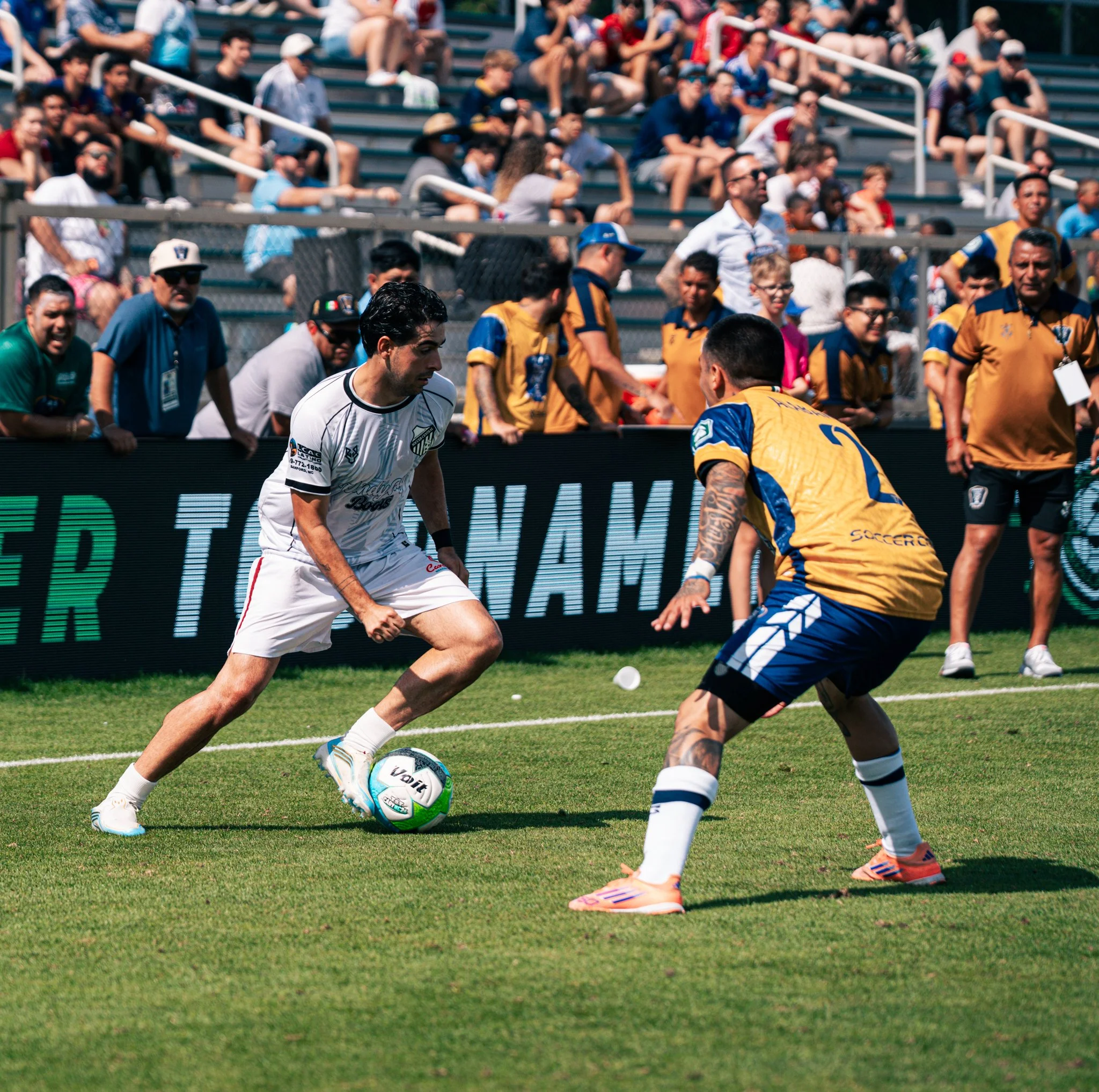 Pumas-104.jpg