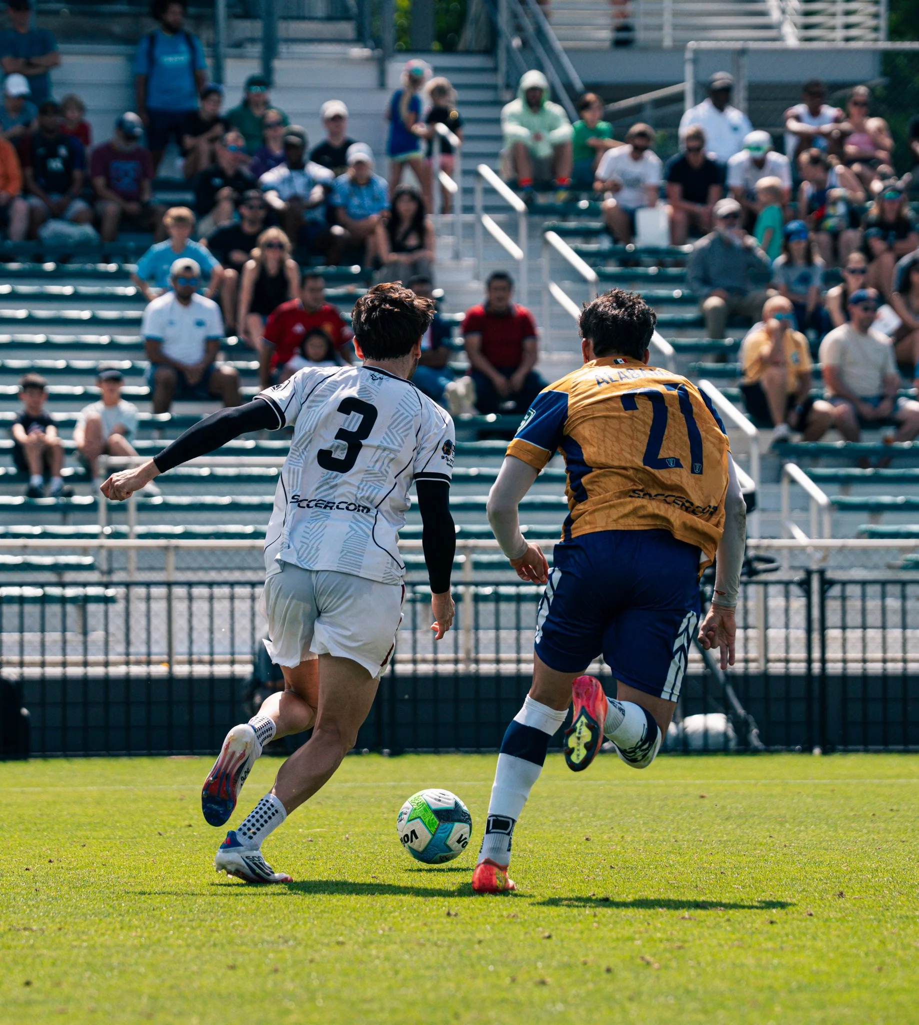 Pumas-52.jpg