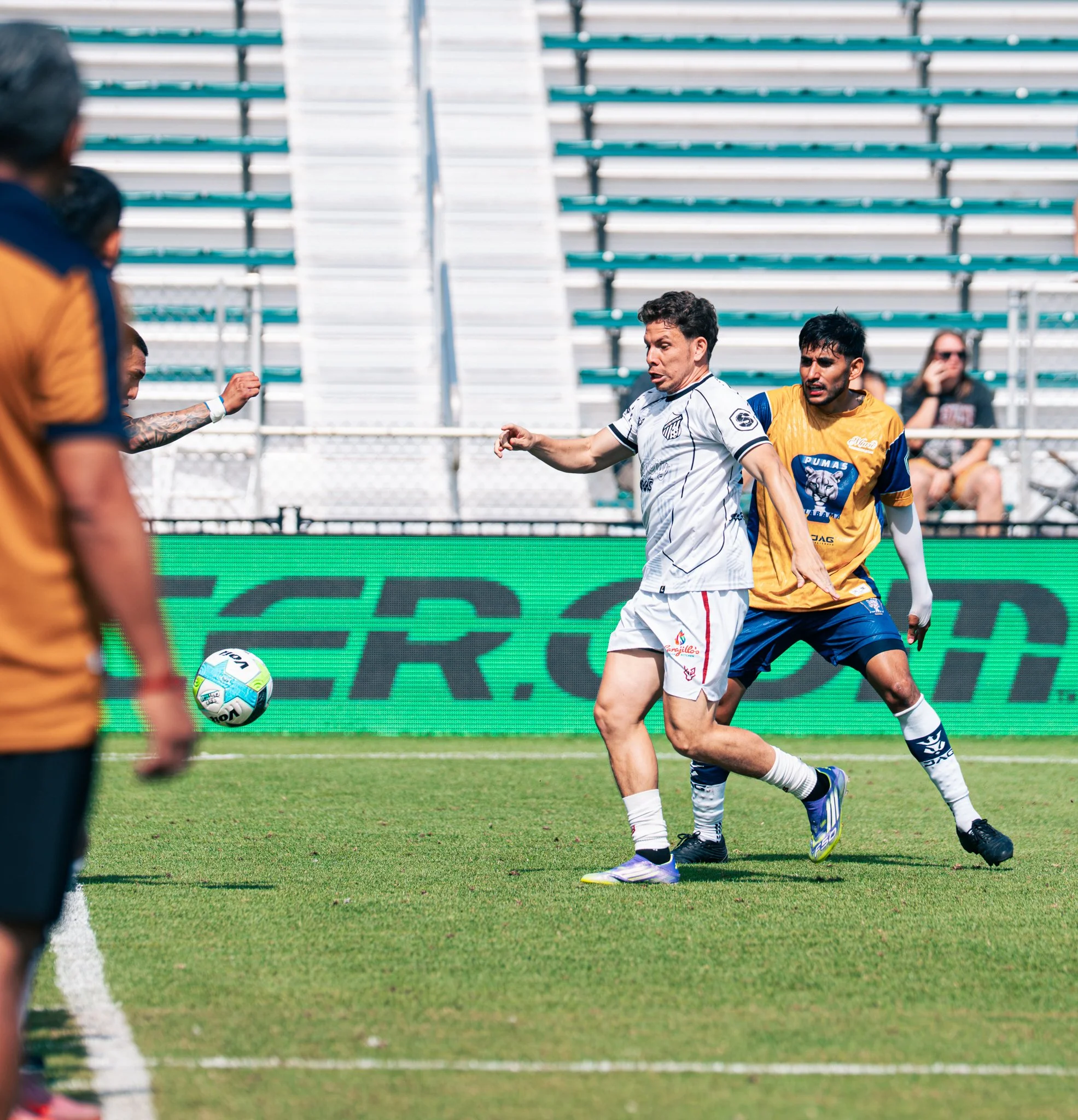 Pumas-141.jpg
