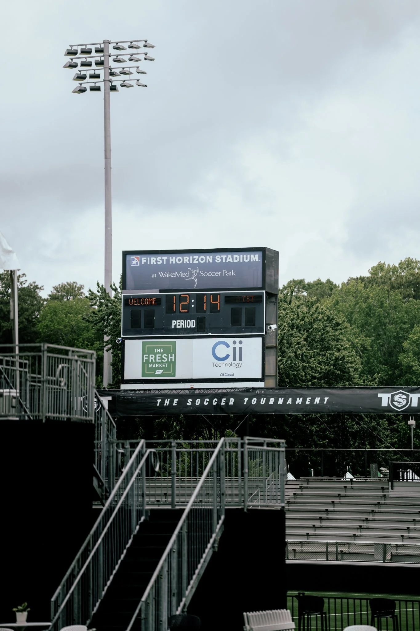 TST Fields-19.jpg