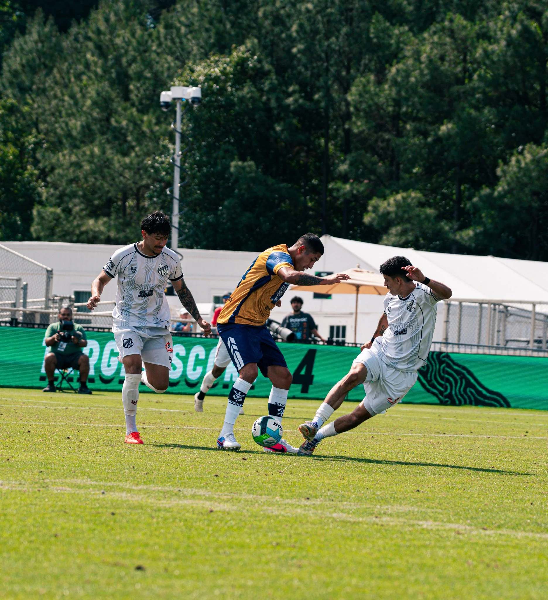 Pumas-45.jpg