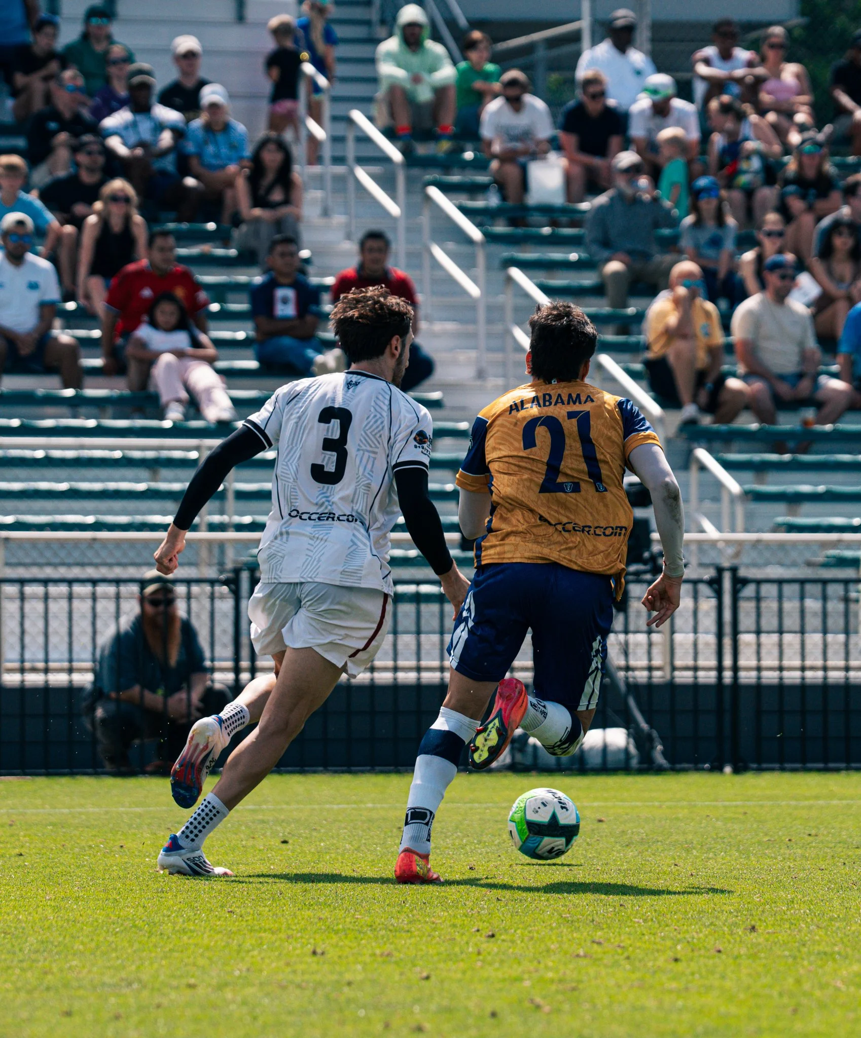 Pumas-51.jpg
