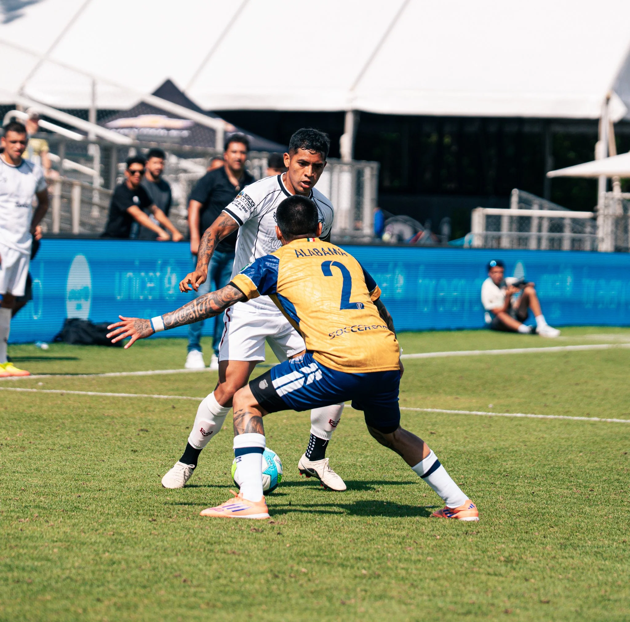 Pumas-109.jpg