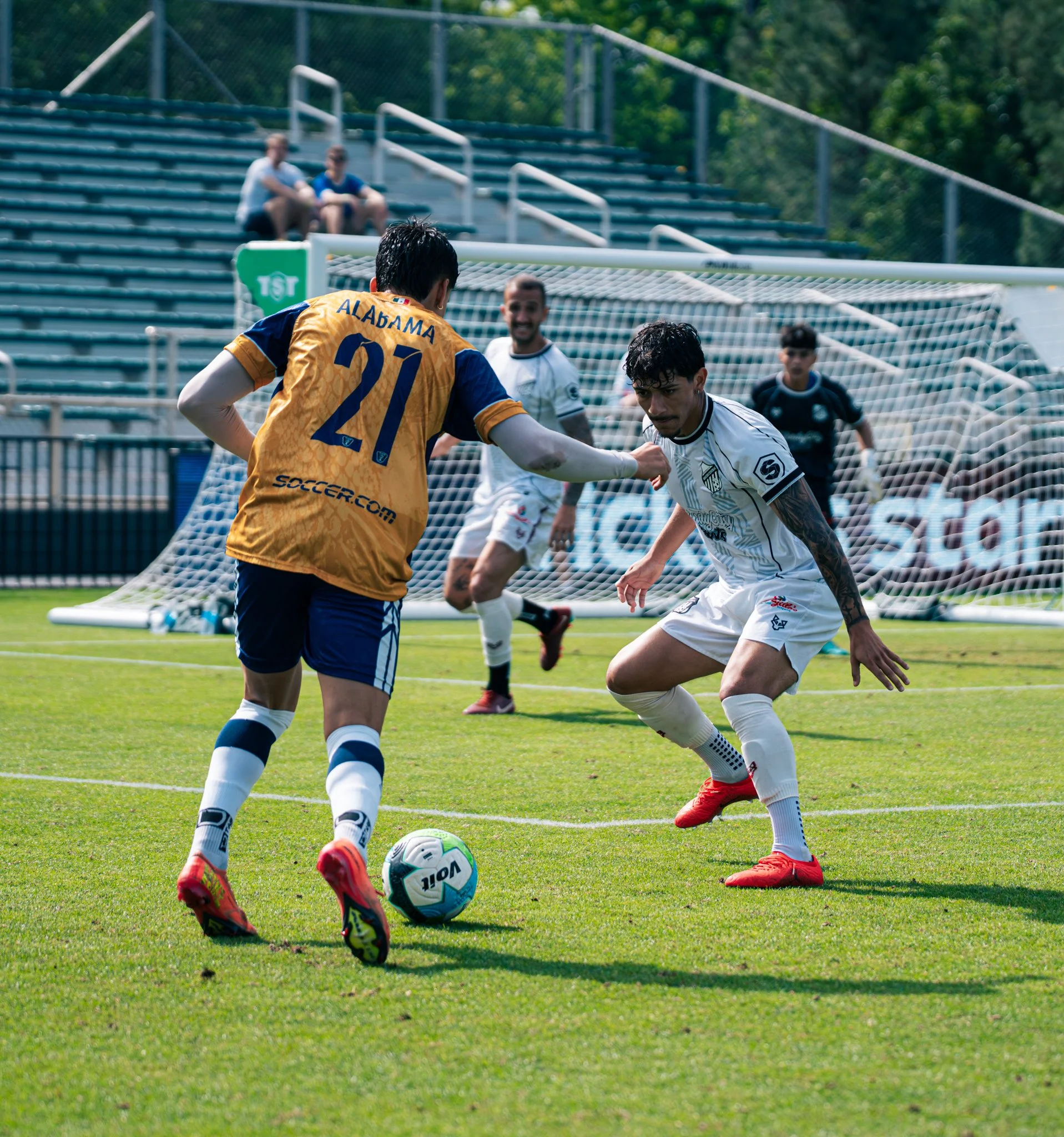 Pumas-187.jpg