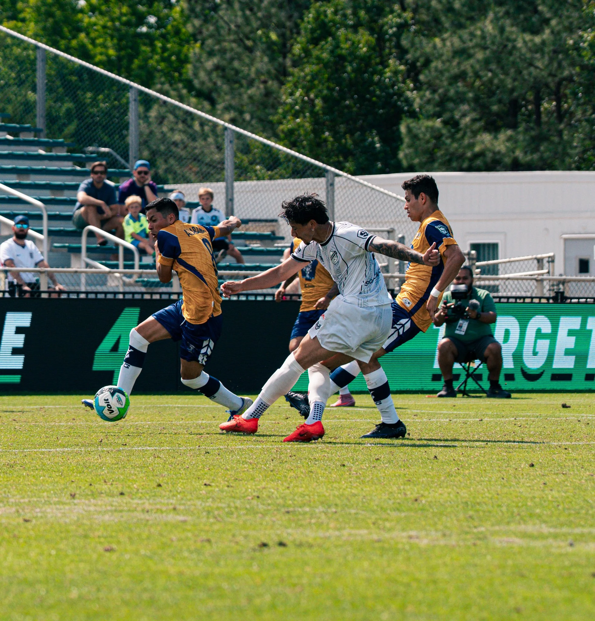 Pumas-38.jpg