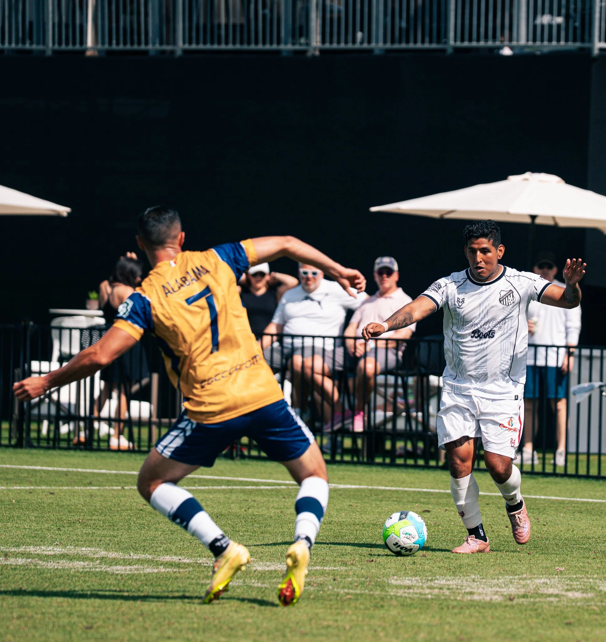 Pumas-113.jpg