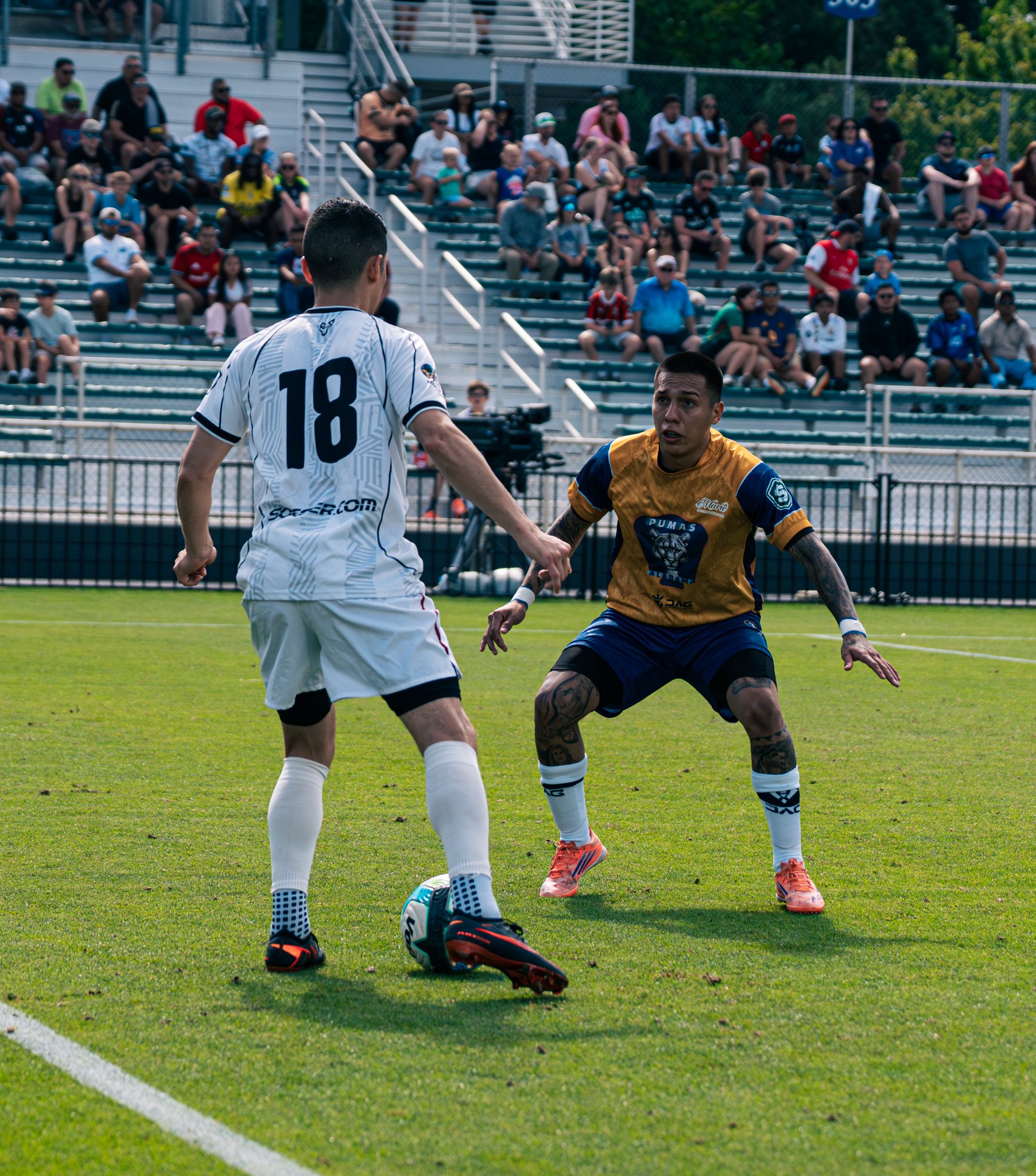 Pumas-154.jpg