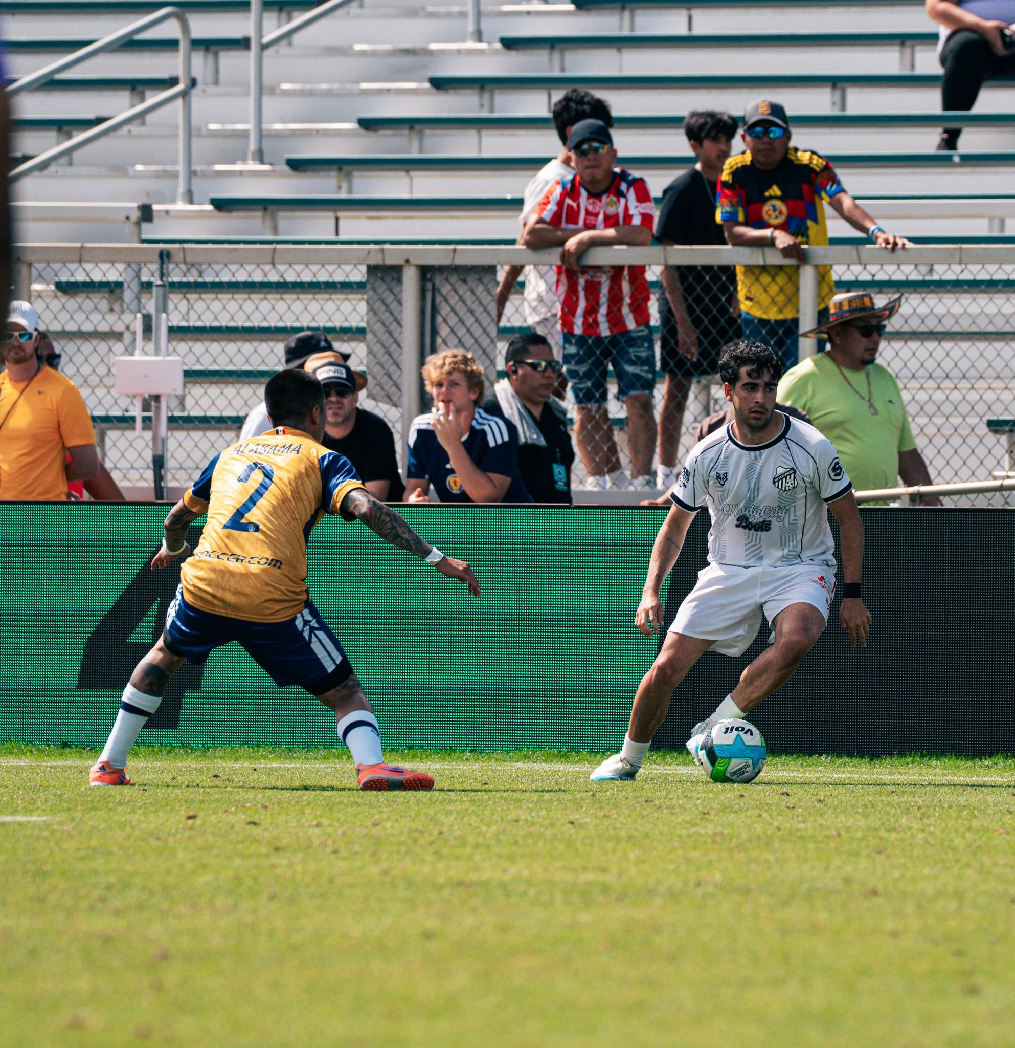 Pumas-58.jpg
