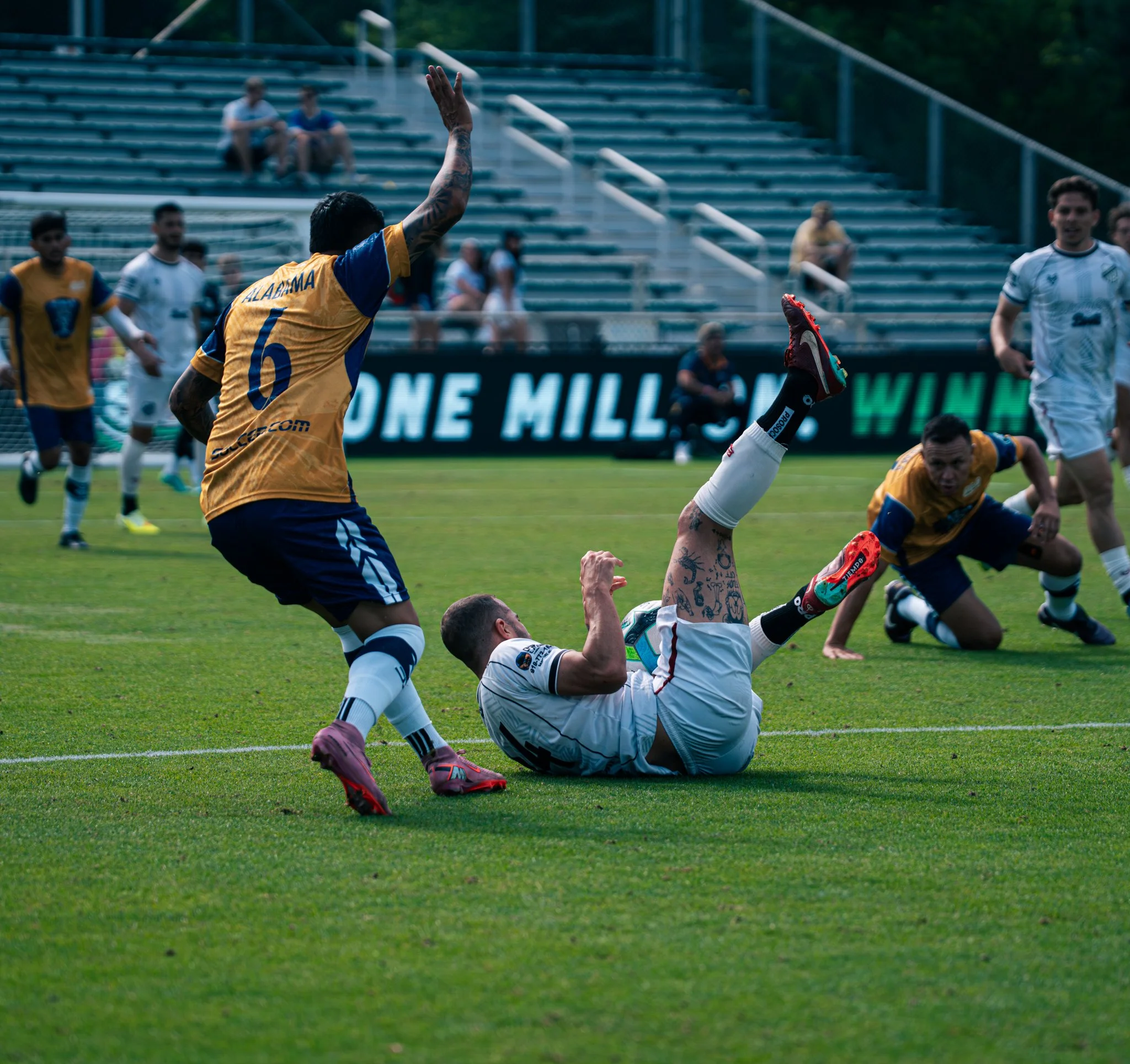 Pumas-179.jpg