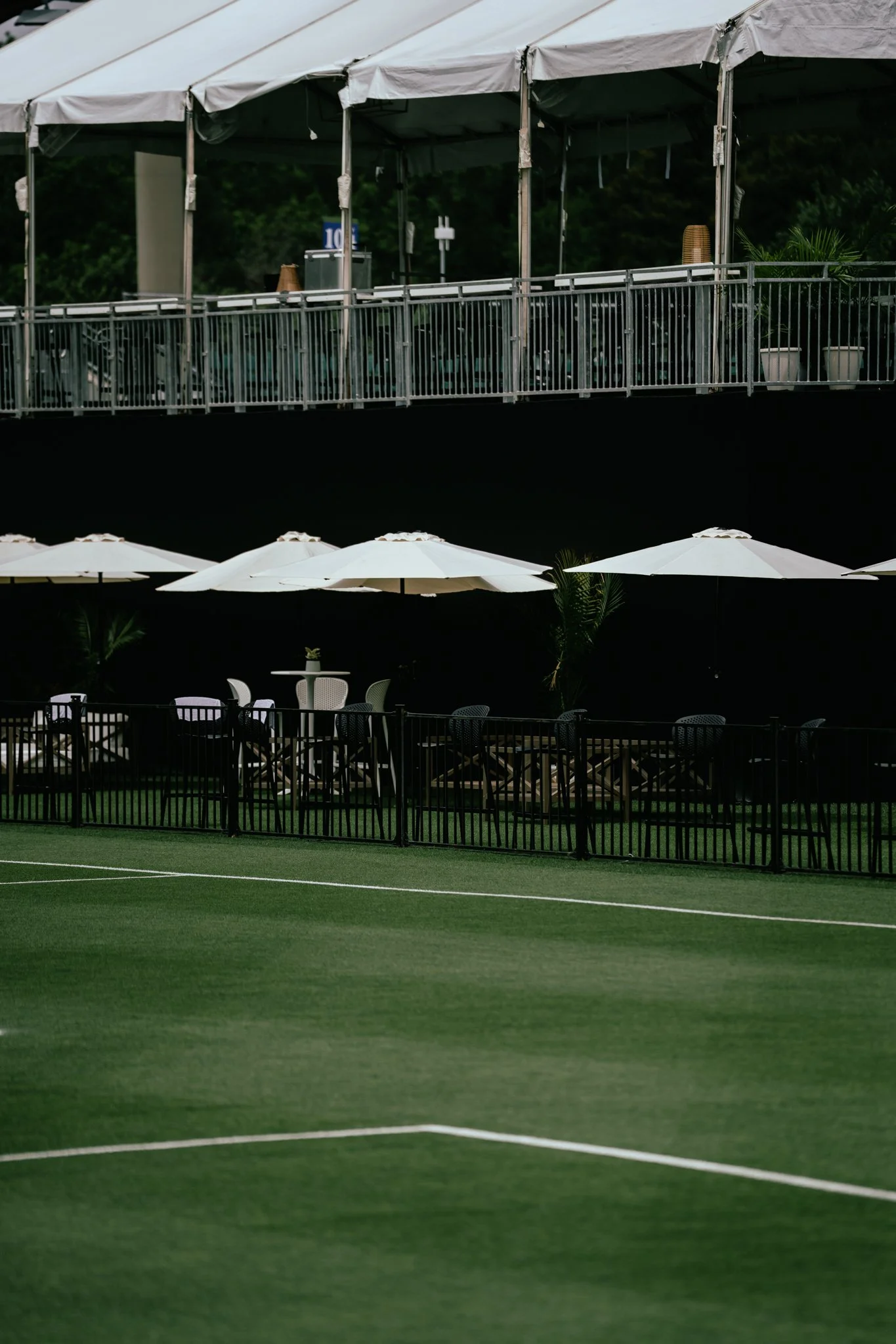 TST Fields-27.jpg