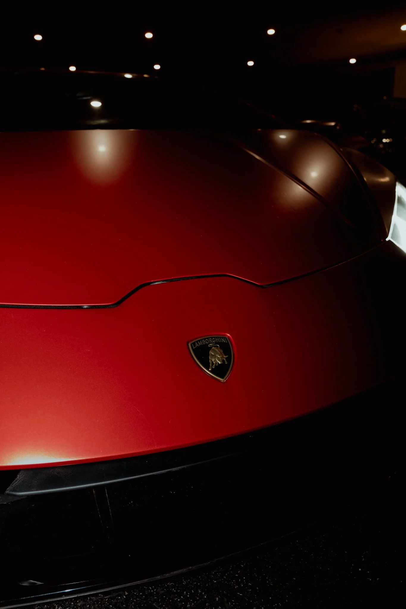 Lambo-11.jpg