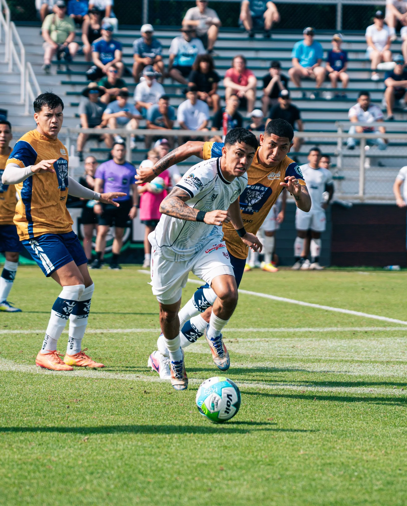 Pumas-189.jpg