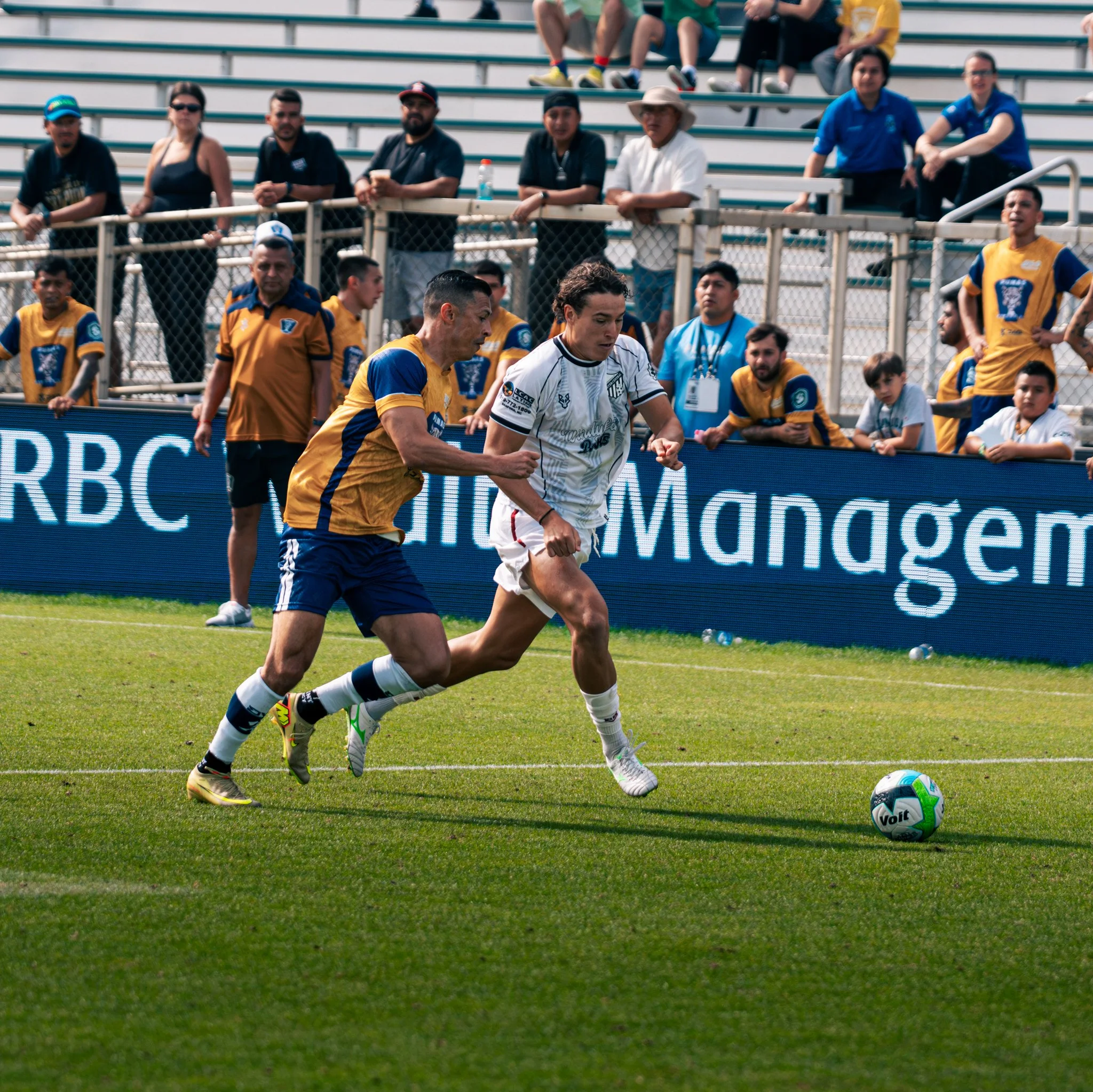 Pumas-205.jpg
