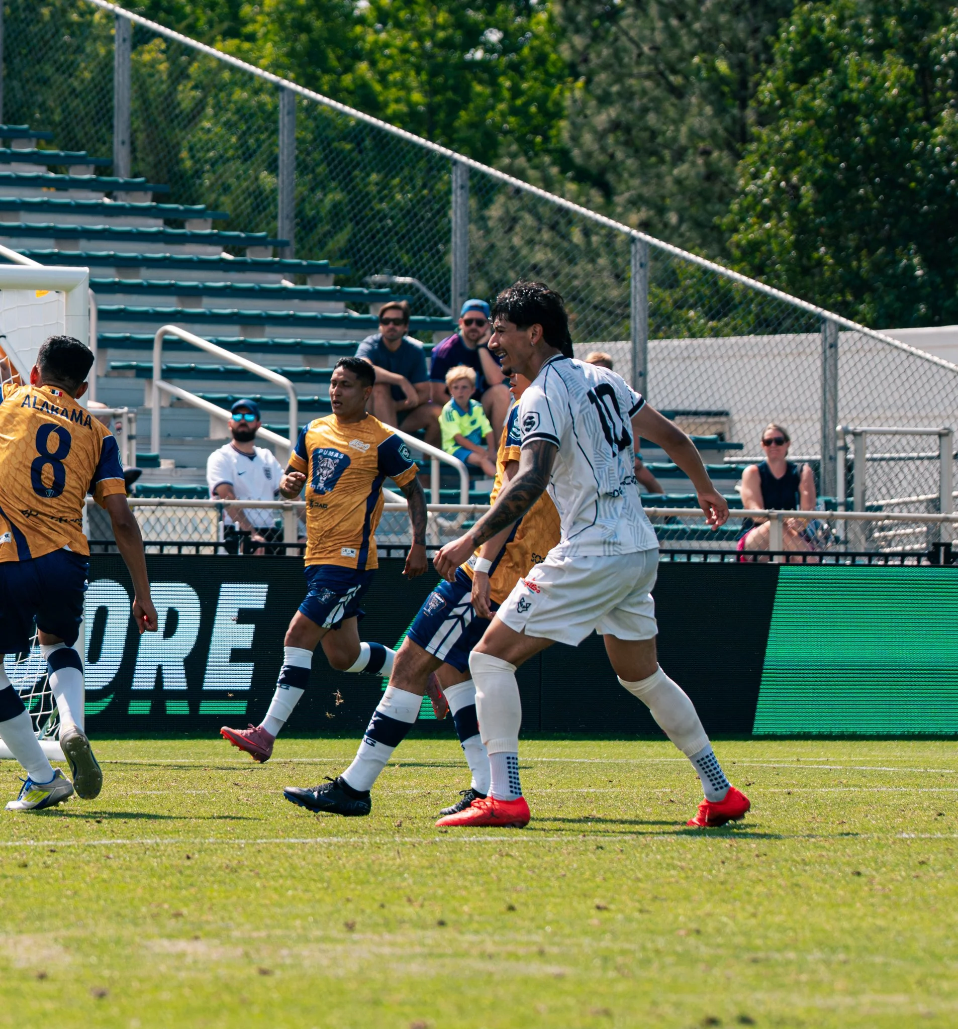 Pumas-37.jpg