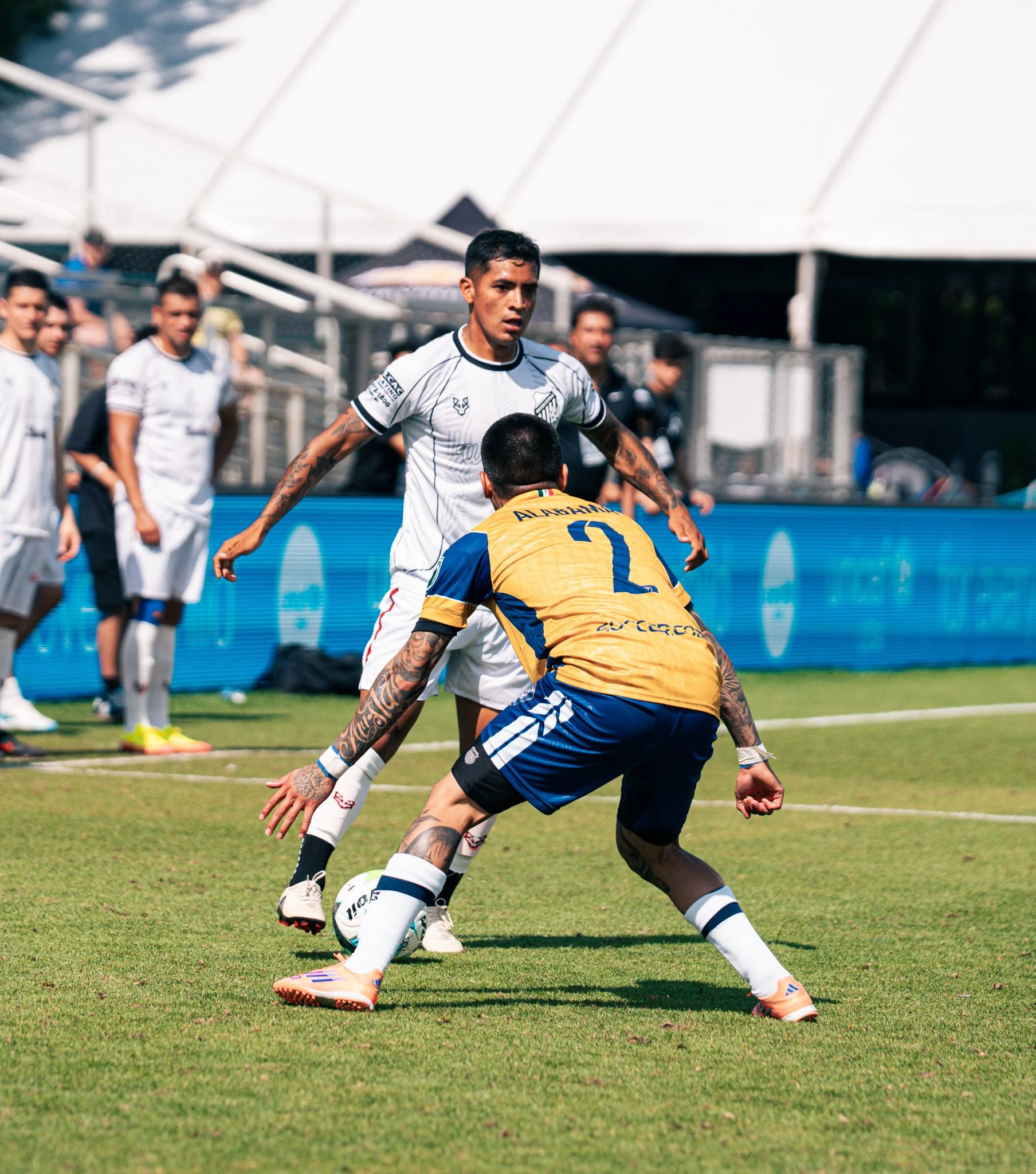 Pumas-110.jpg