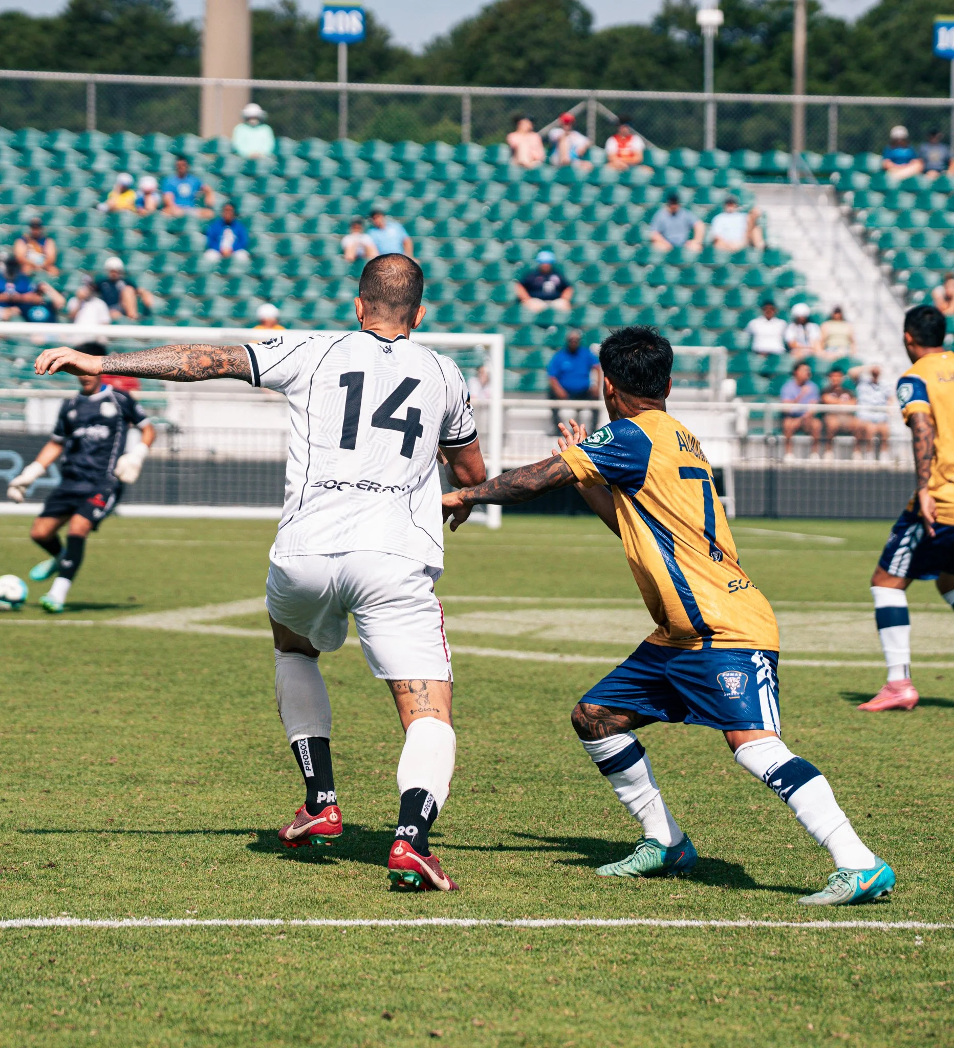 Pumas-118.jpg
