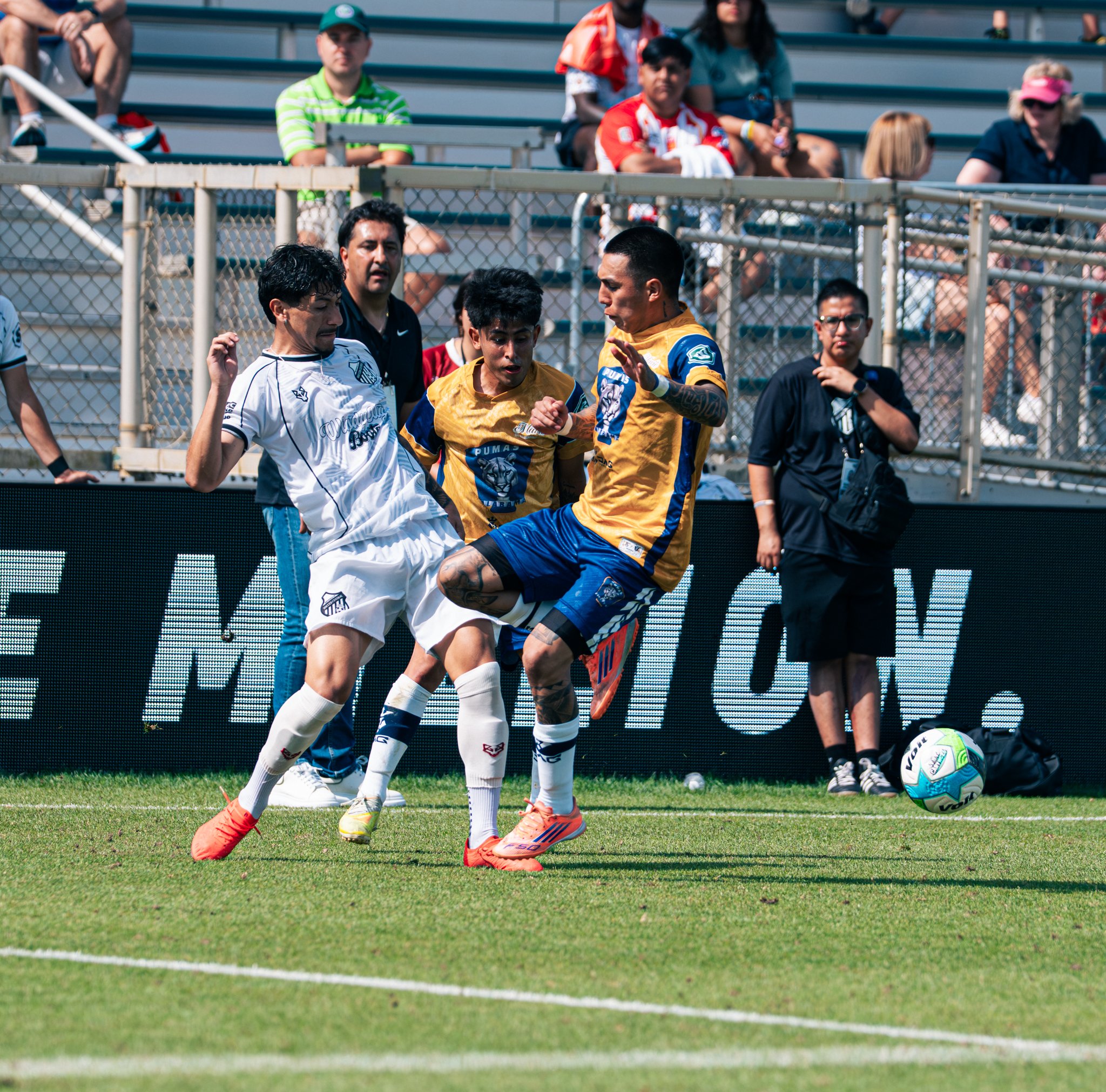 Pumas-162.jpg