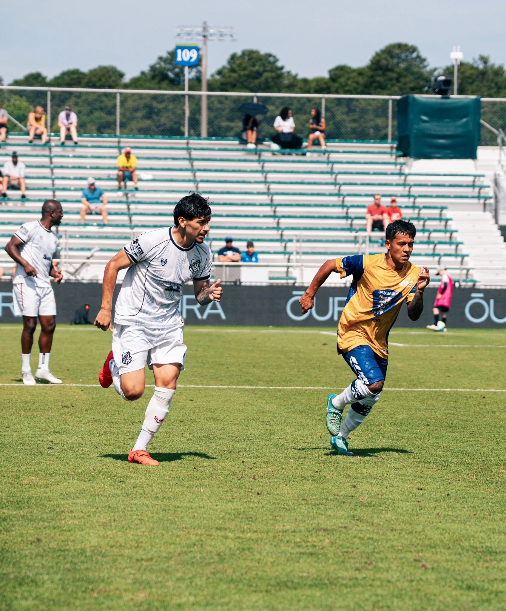 Pumas-125.jpg