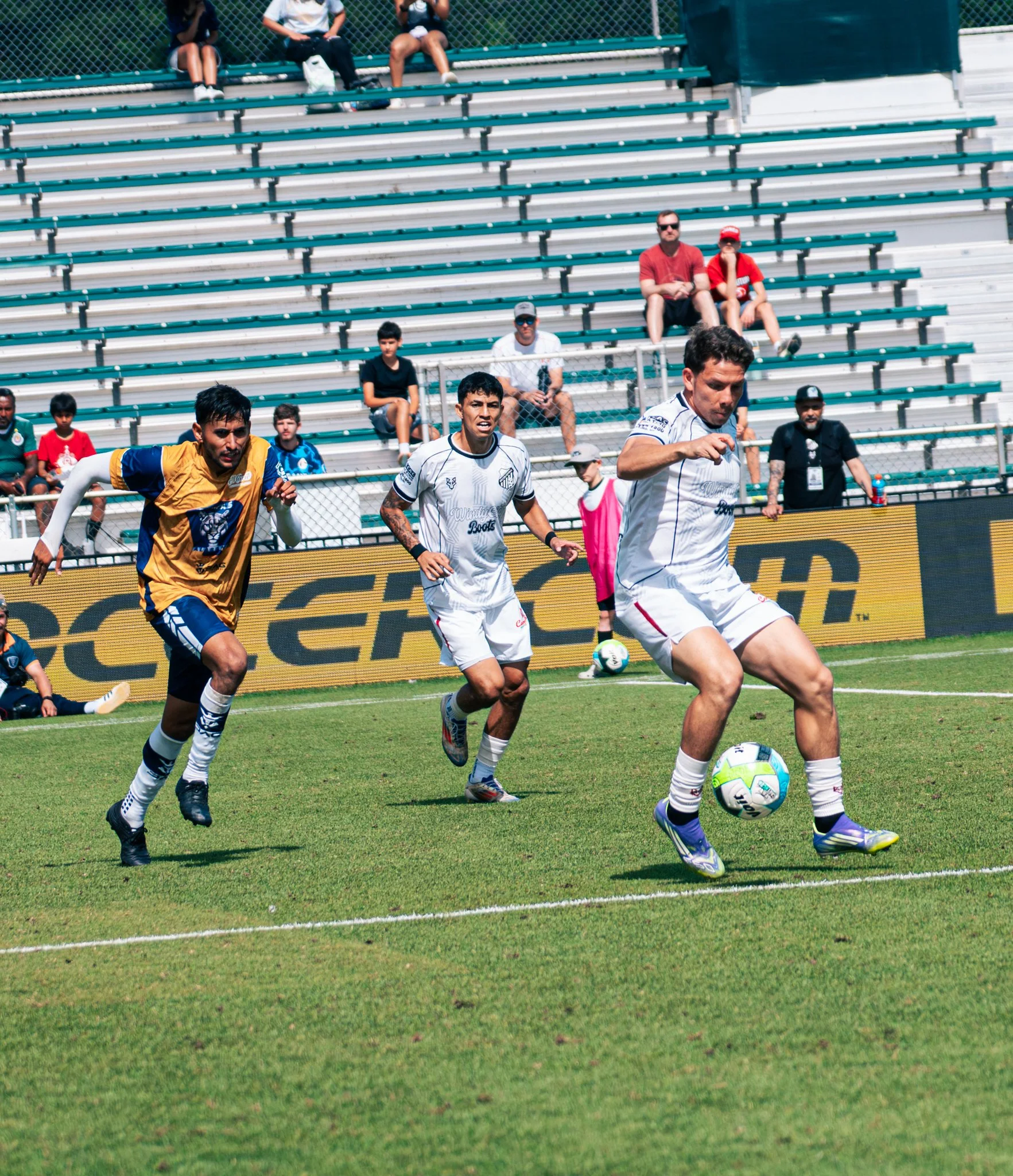 Pumas-140.jpg