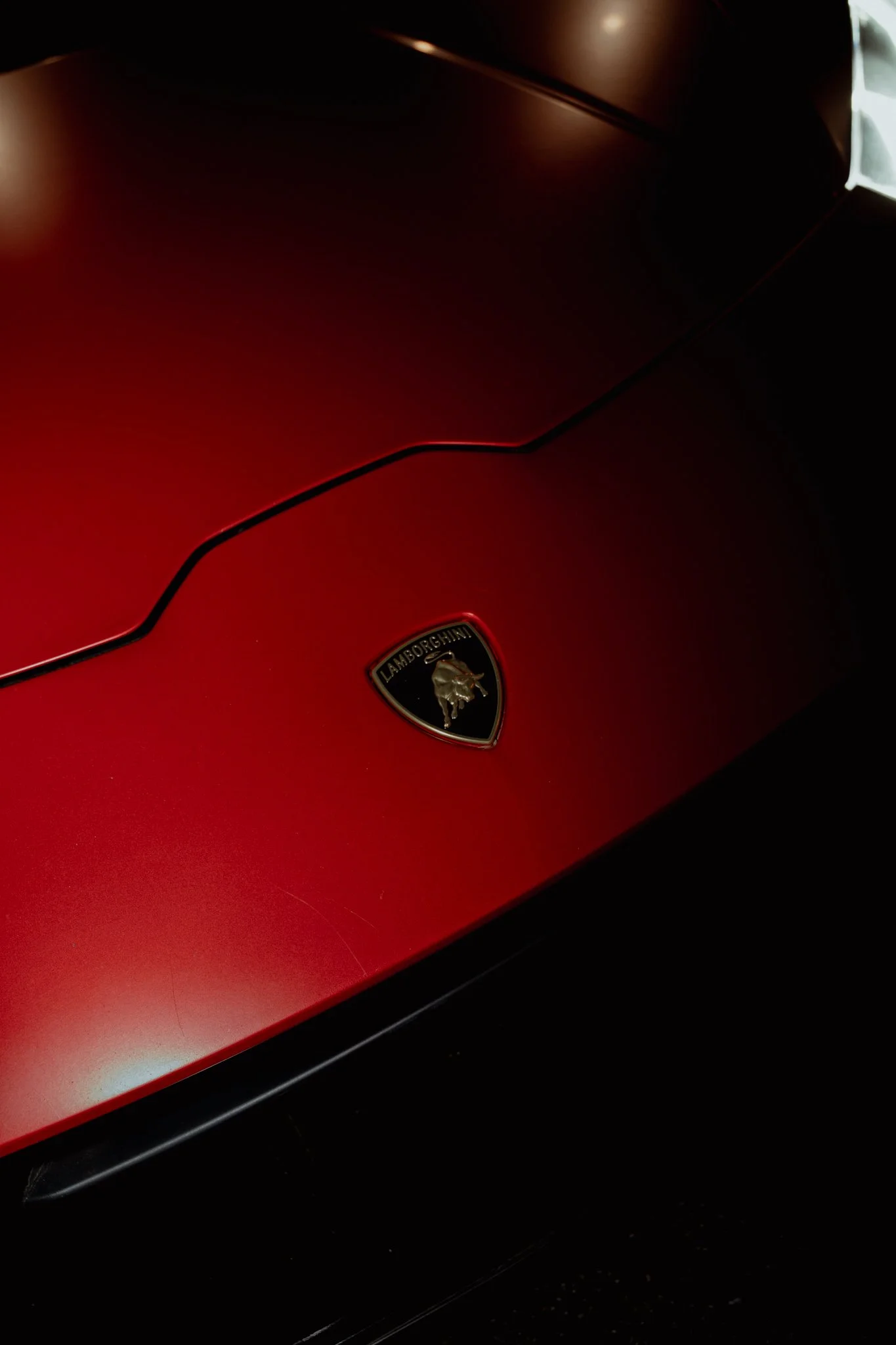Lambo-12.jpg