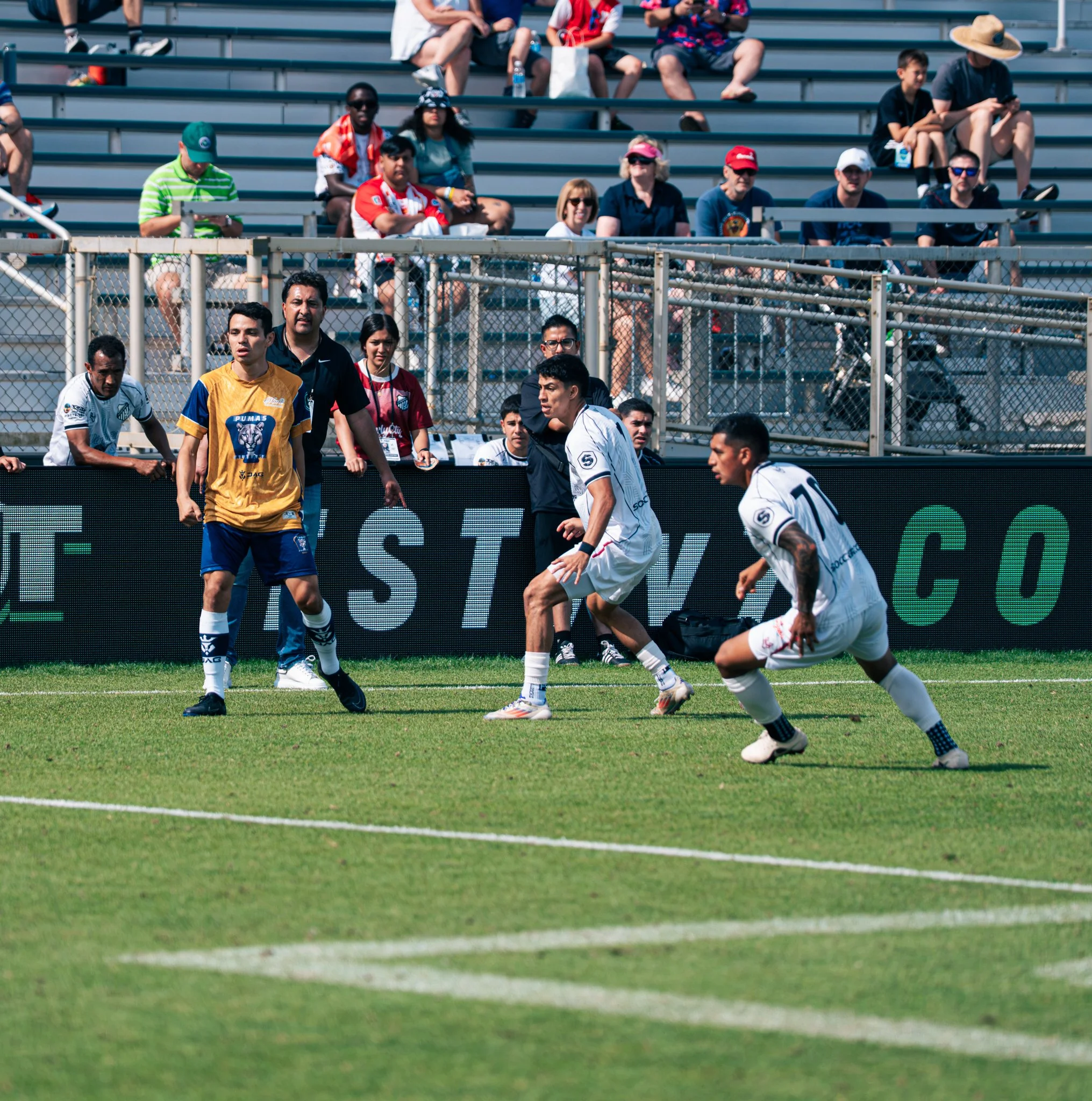 Pumas-169.jpg