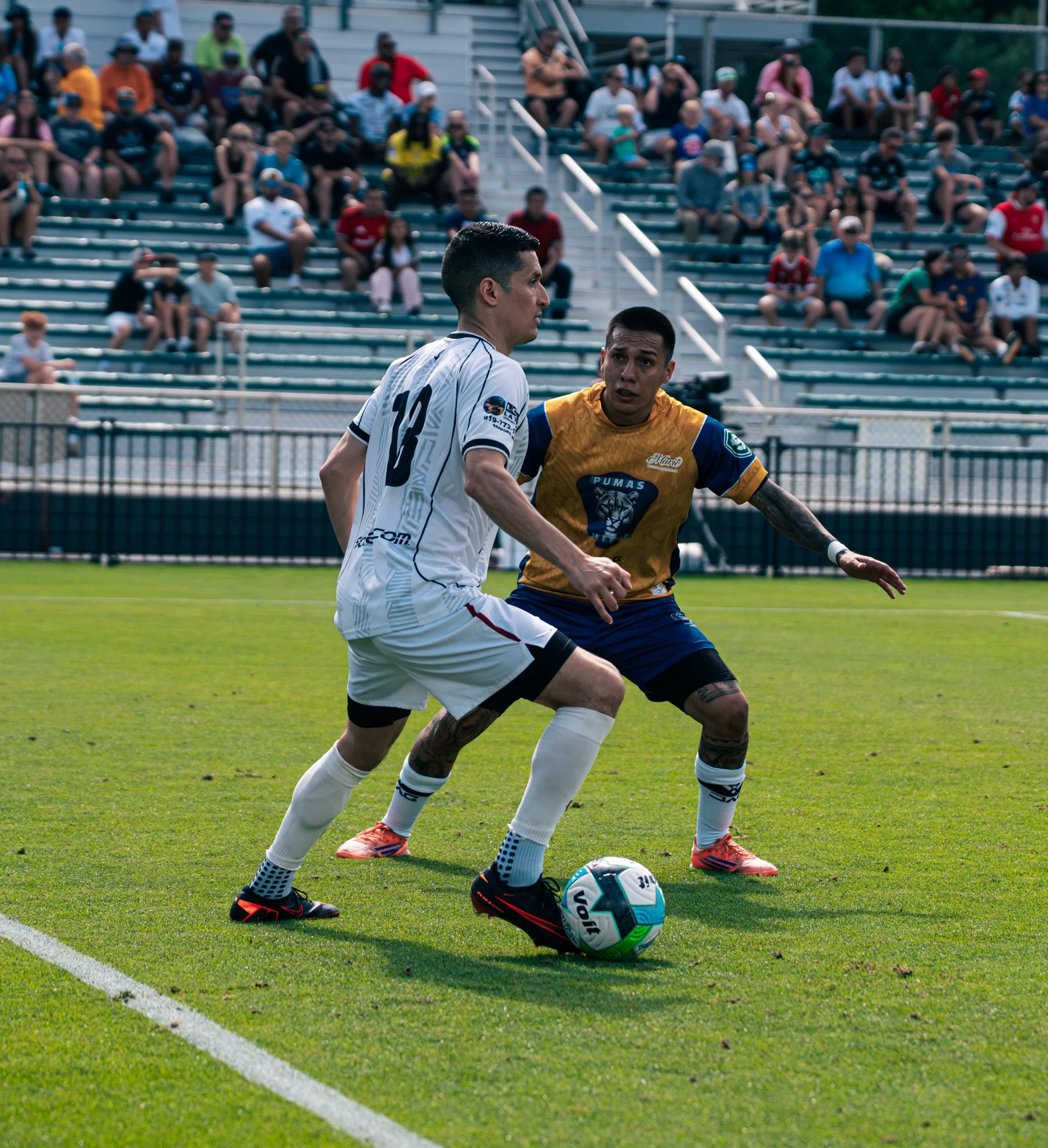 Pumas-153.jpg