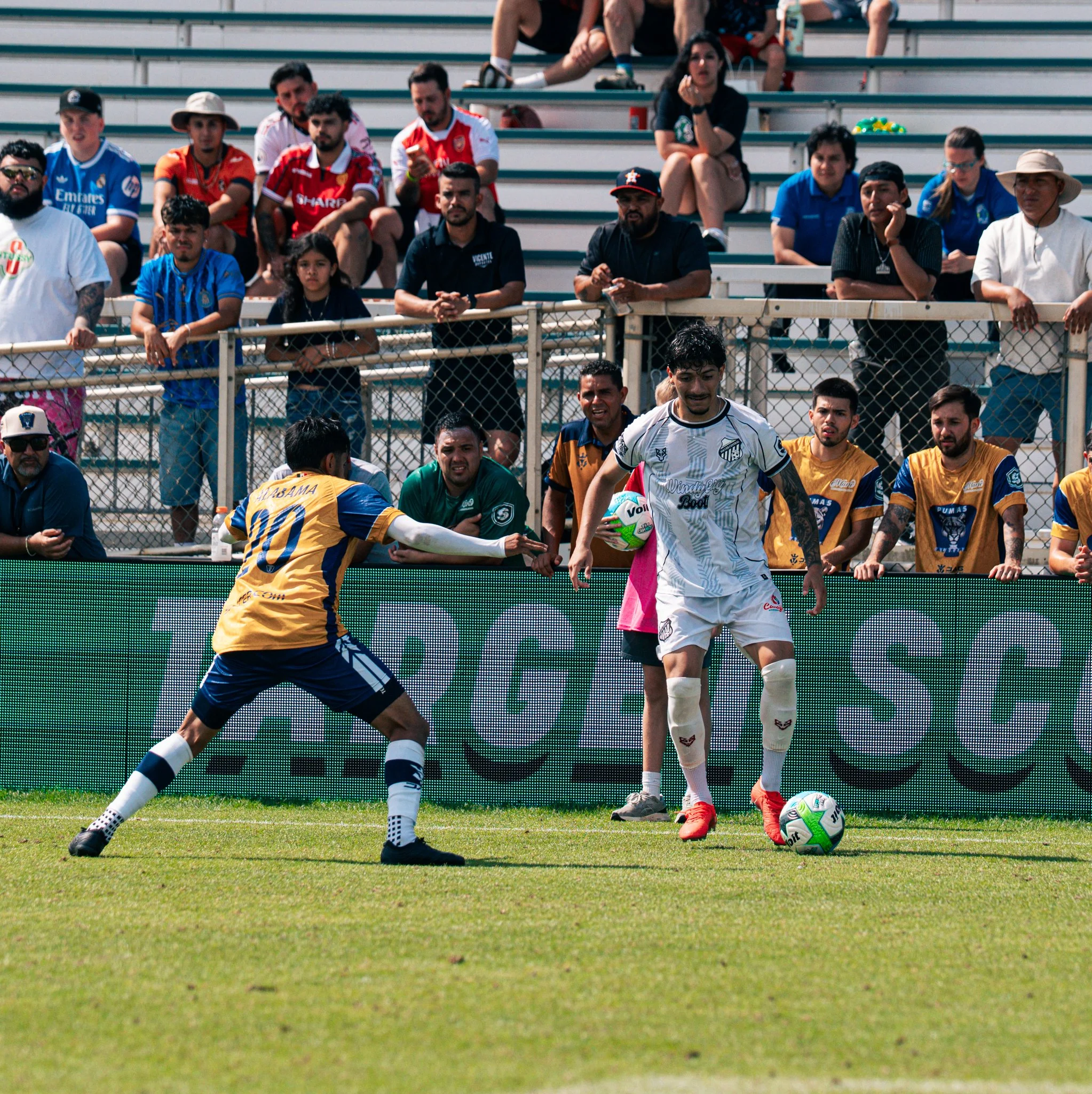 Pumas-73.jpg