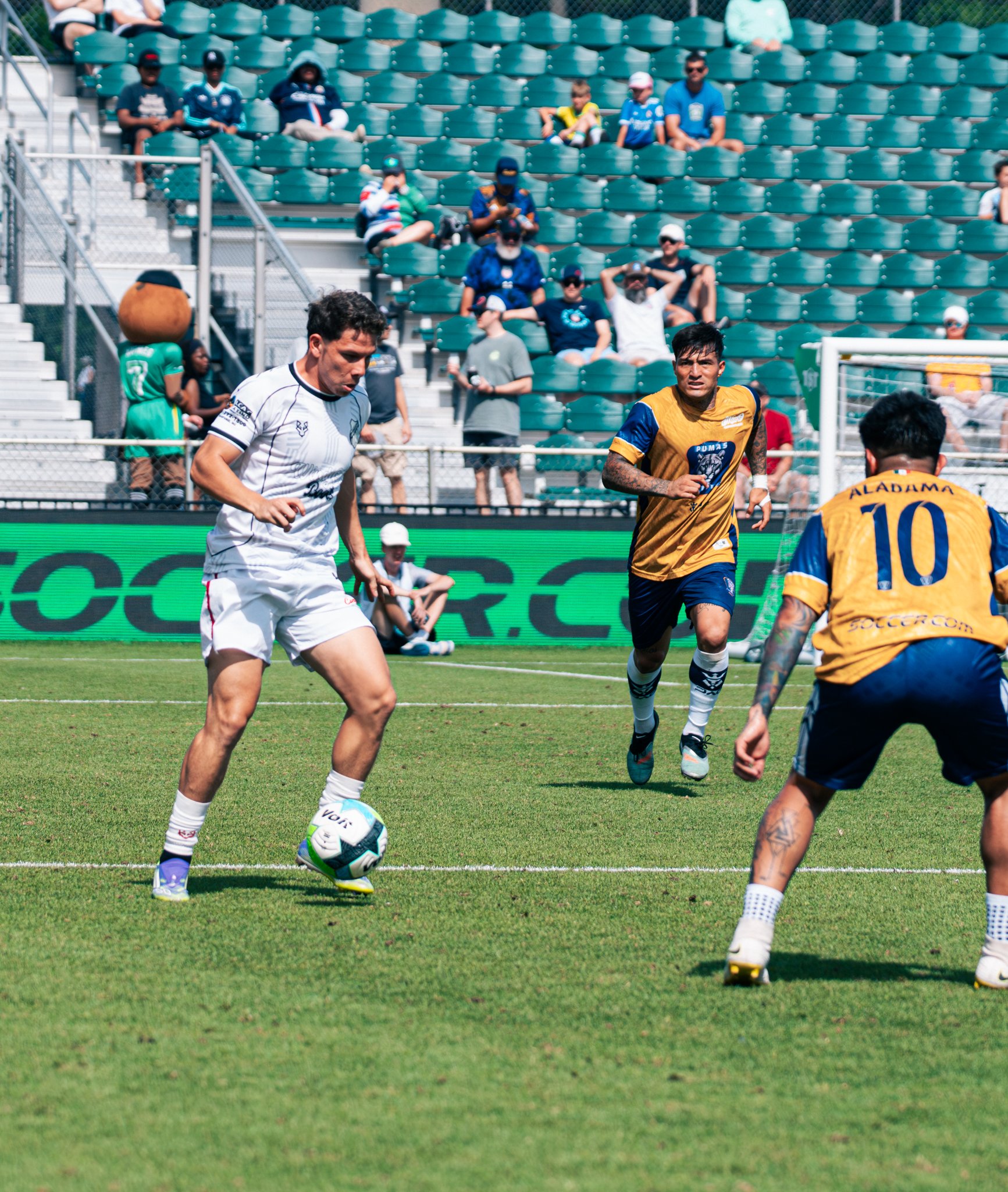 Pumas-139.jpg