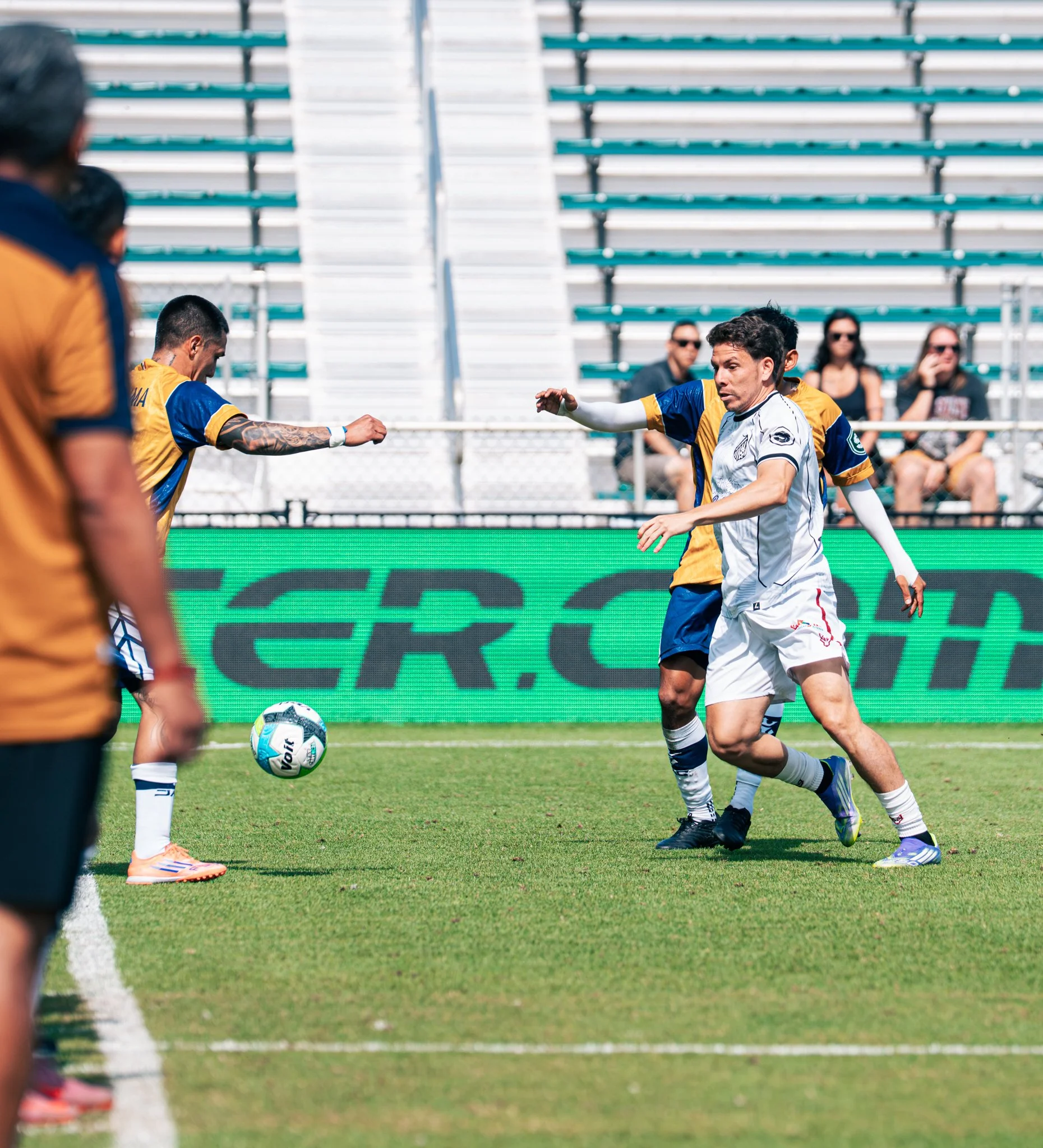 Pumas-142.jpg