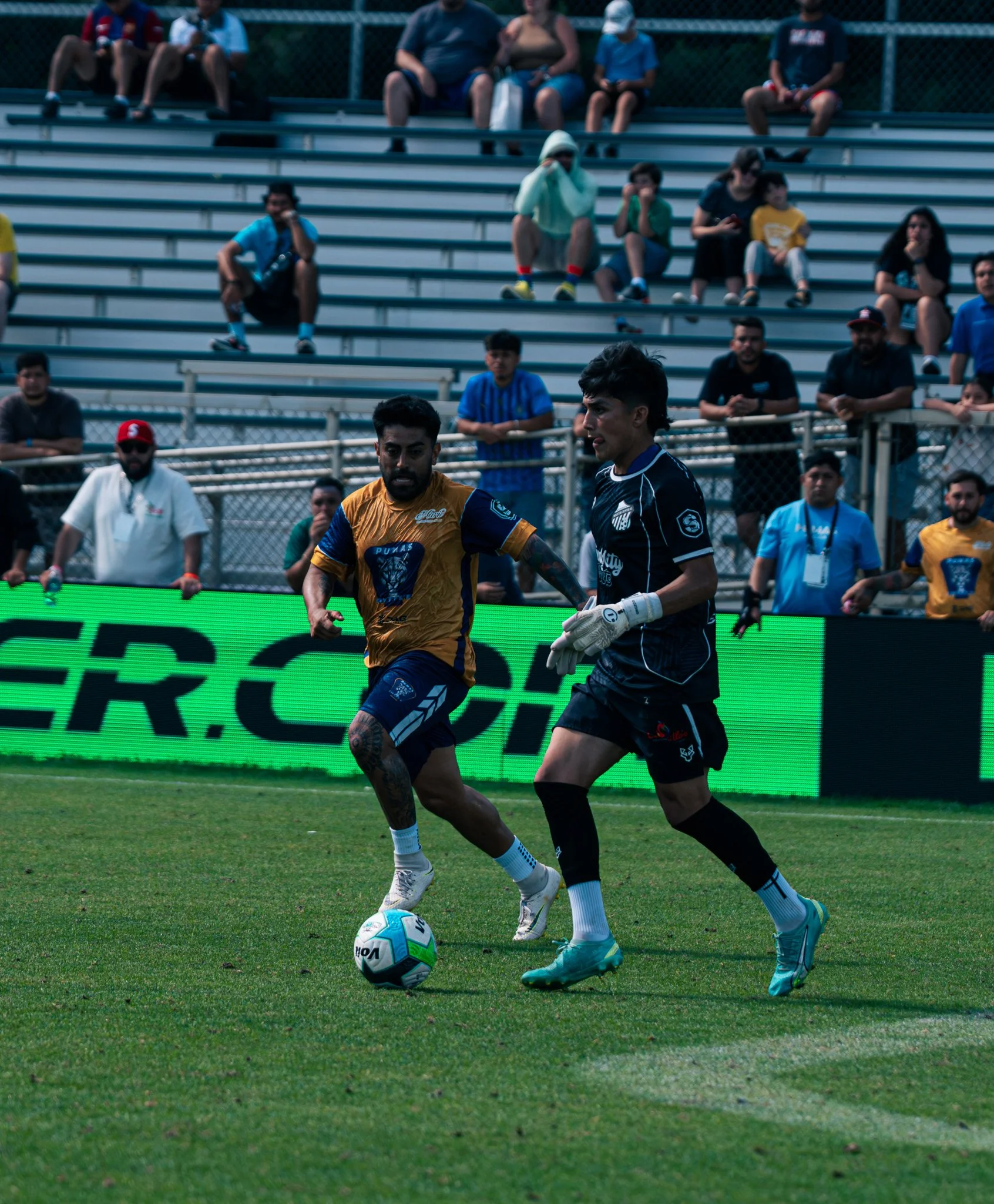 Pumas-151.jpg