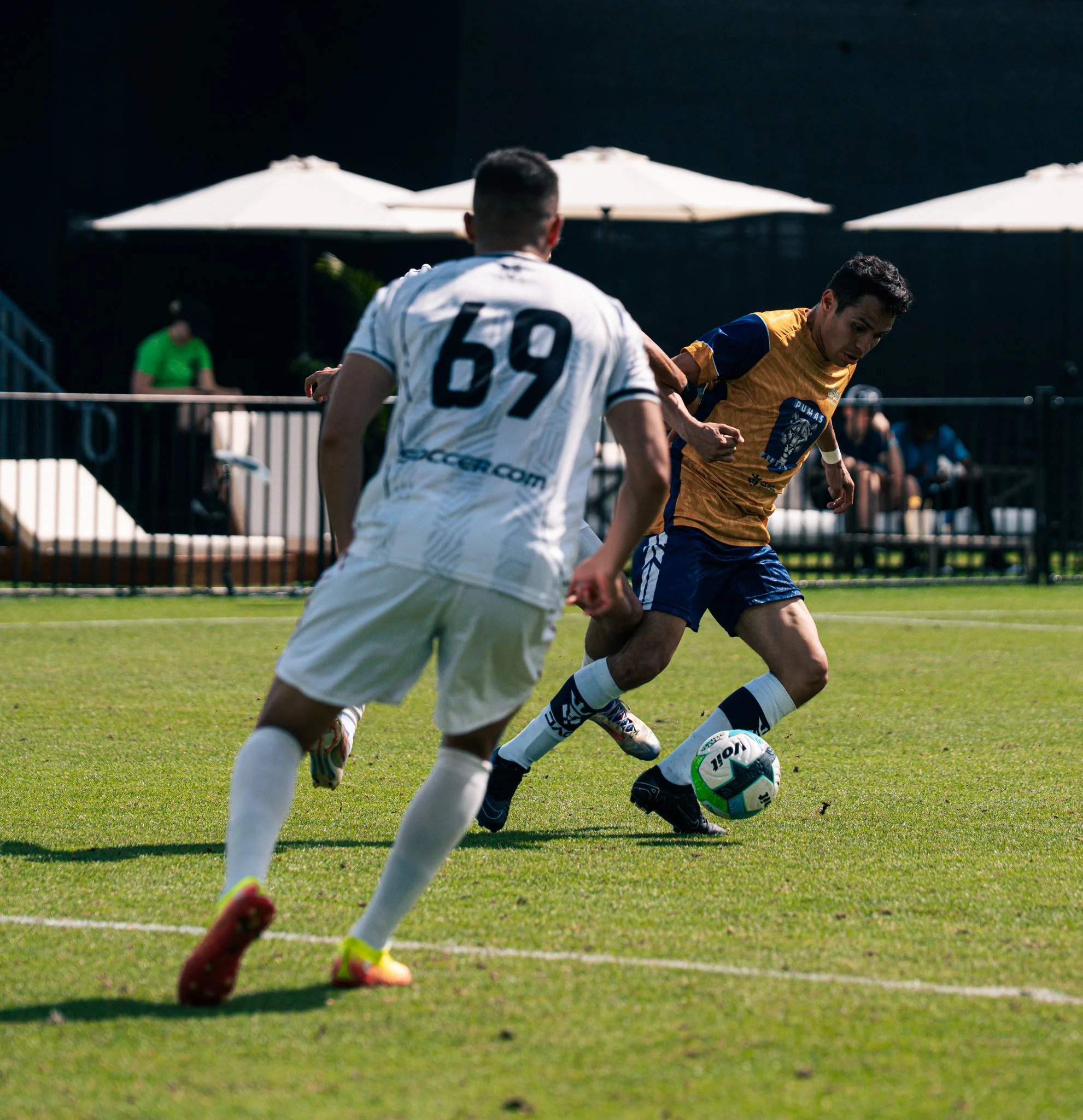 Pumas-86.jpg