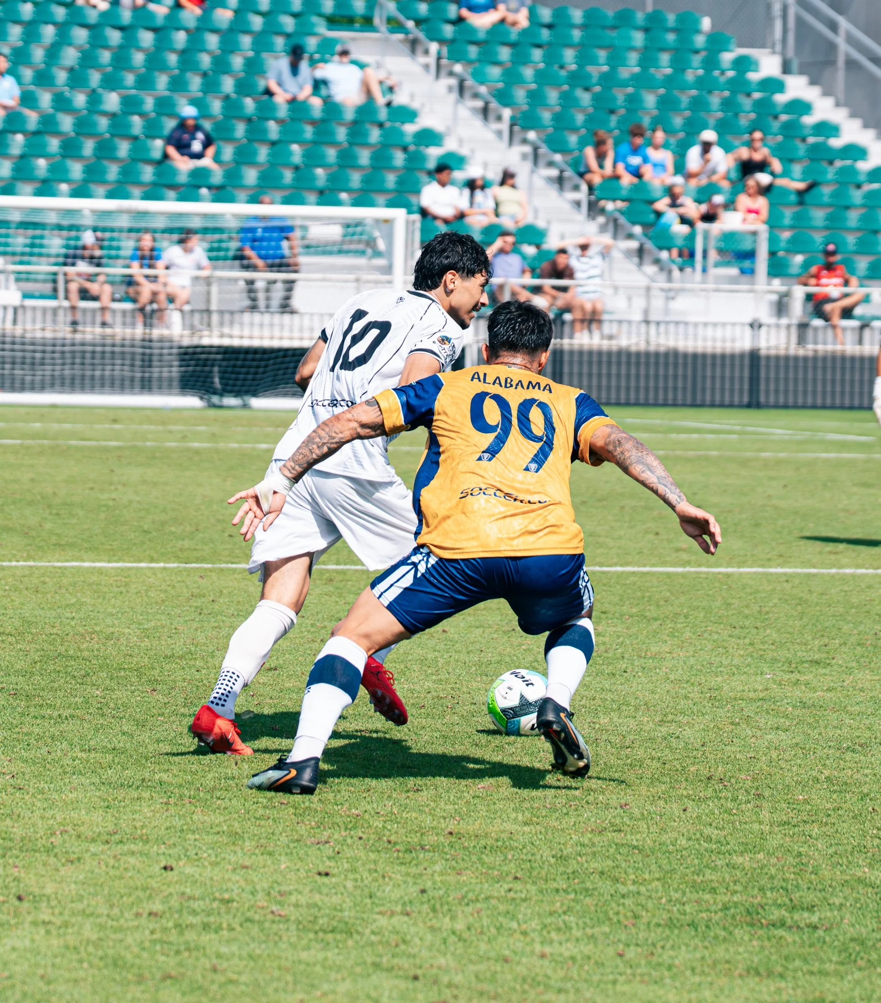 Pumas-132.jpg