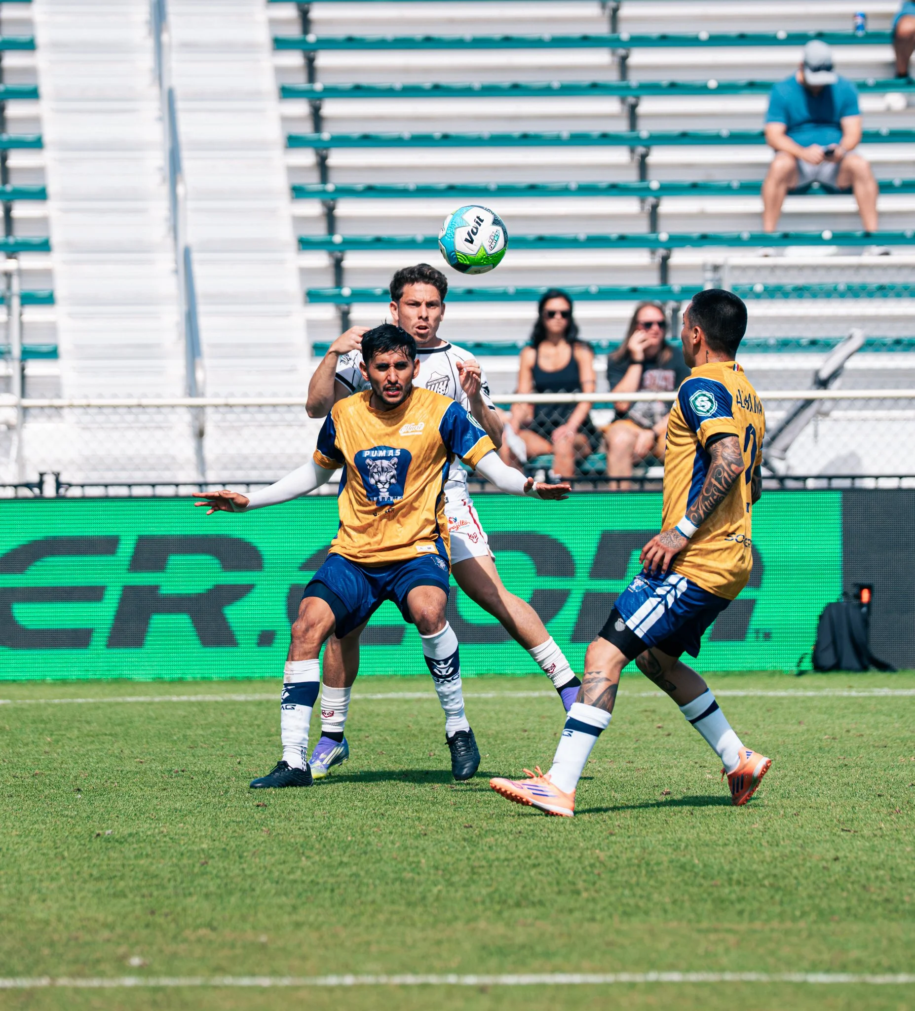 Pumas-143.jpg