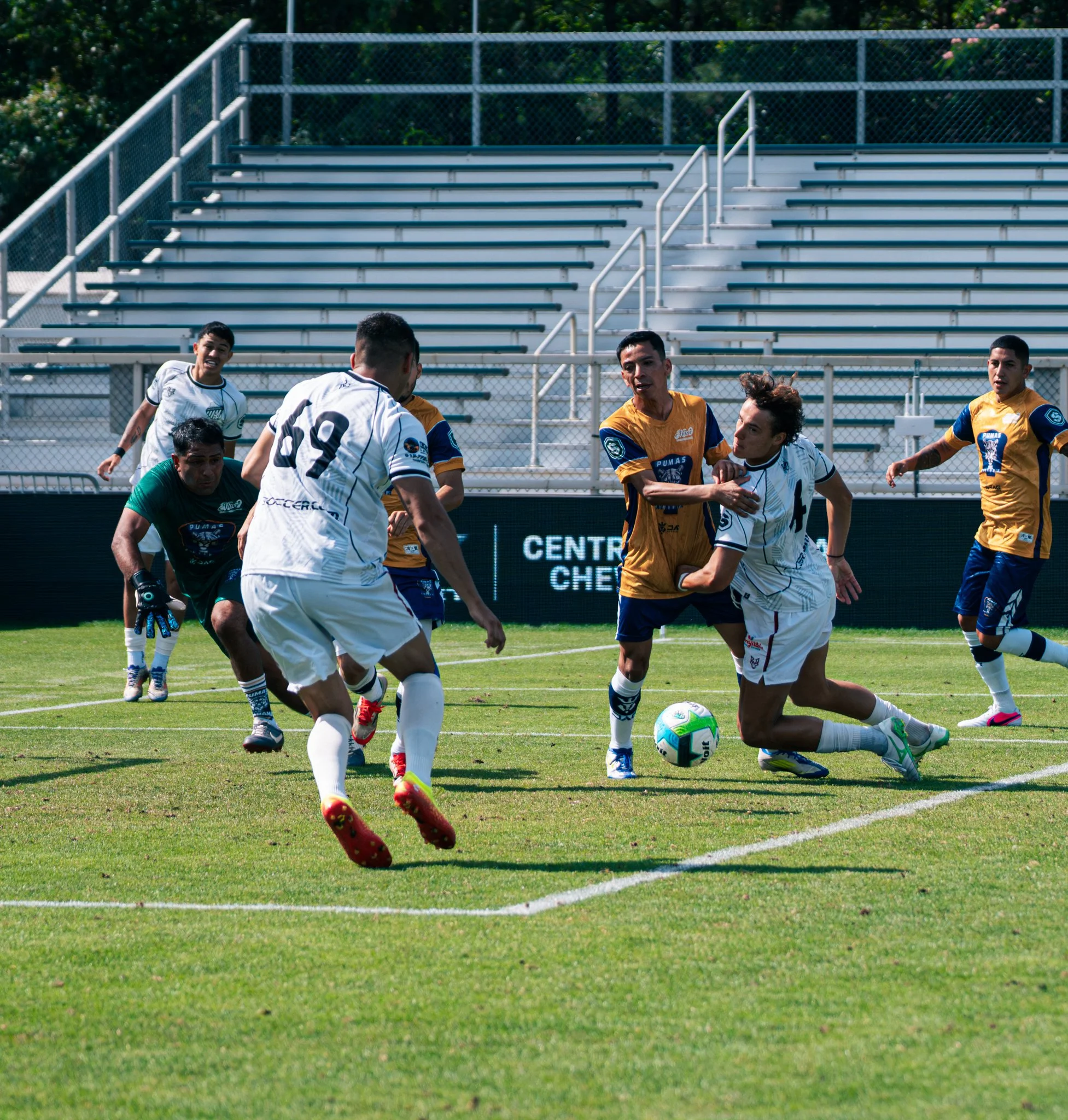 Pumas-168.jpg
