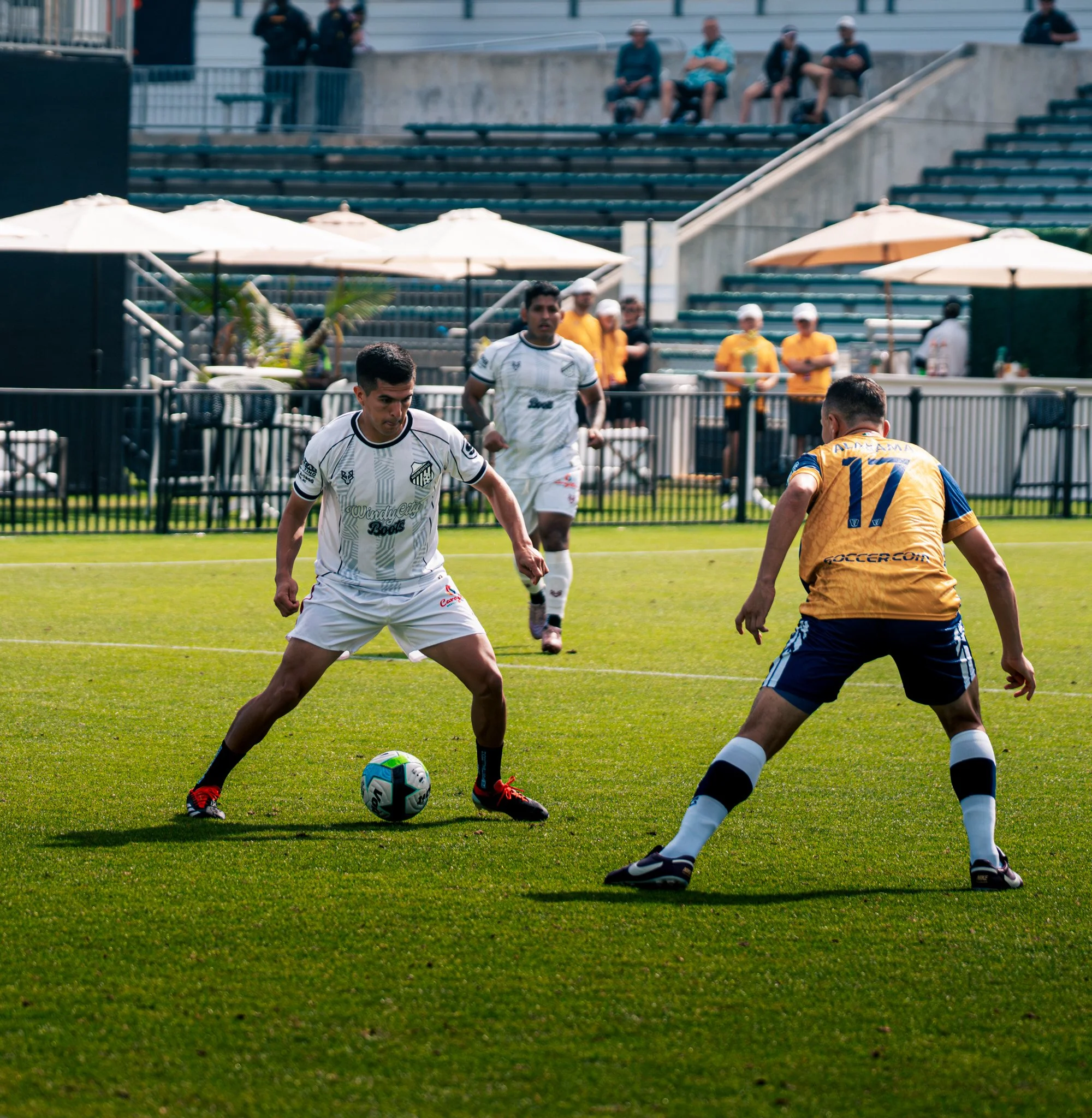 Pumas-206.jpg