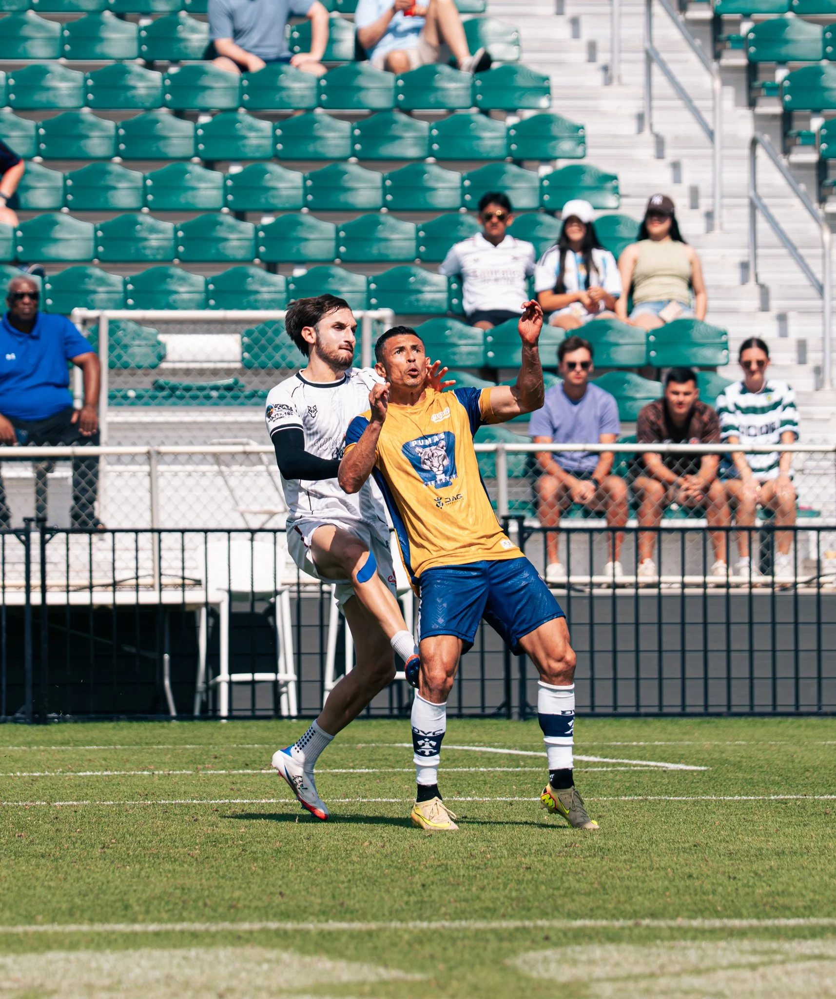 Pumas-120.jpg