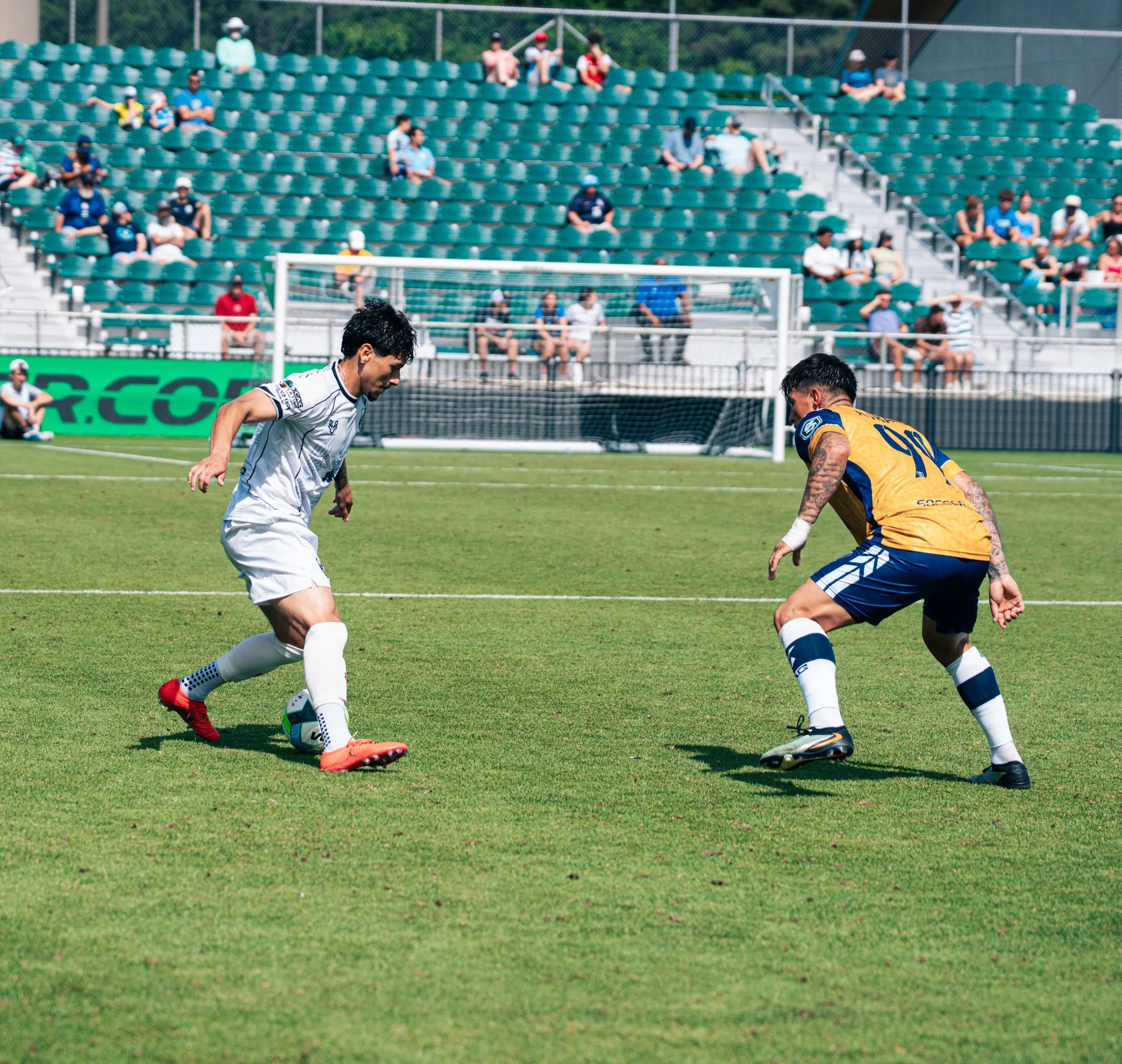 Pumas-133.jpg