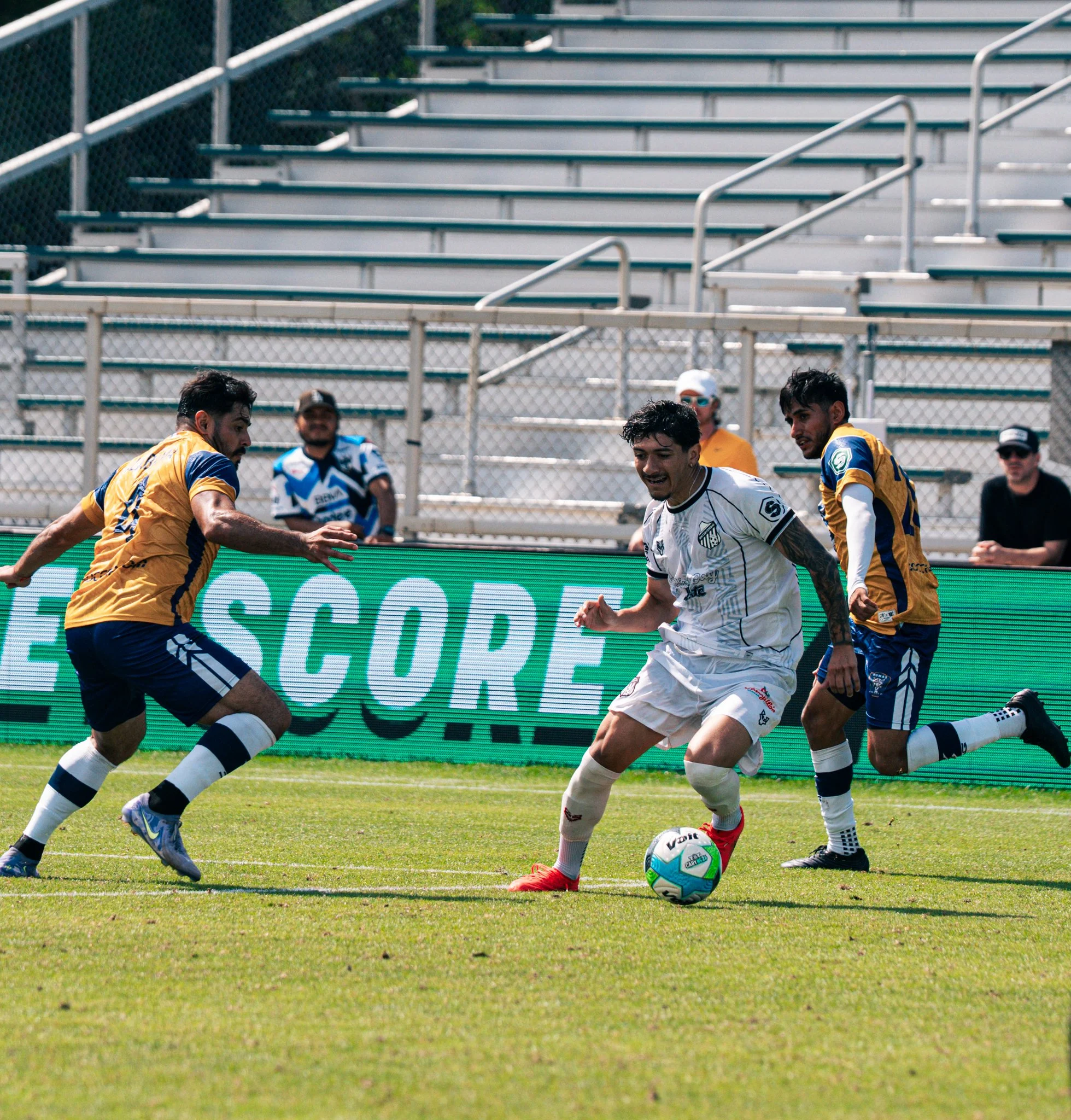 Pumas-72.jpg