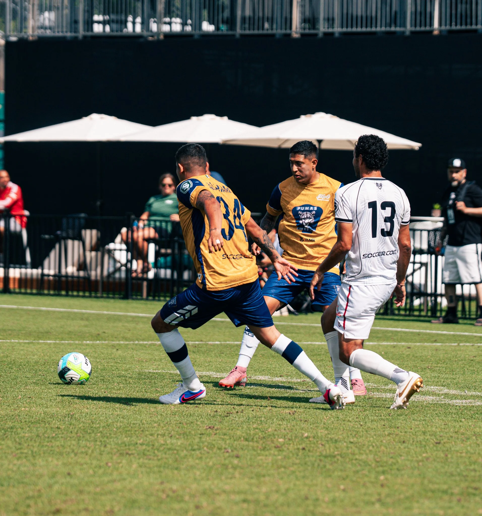 Pumas-107.jpg