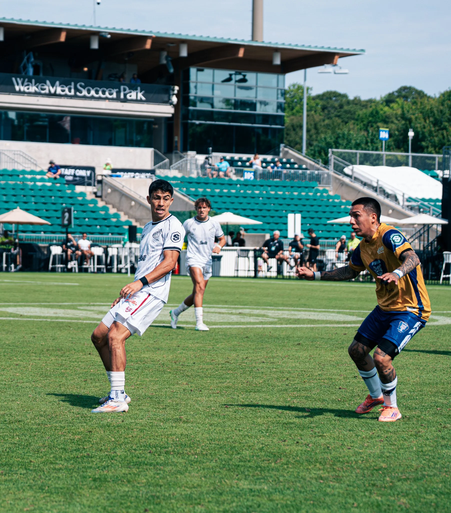 Pumas-136.jpg