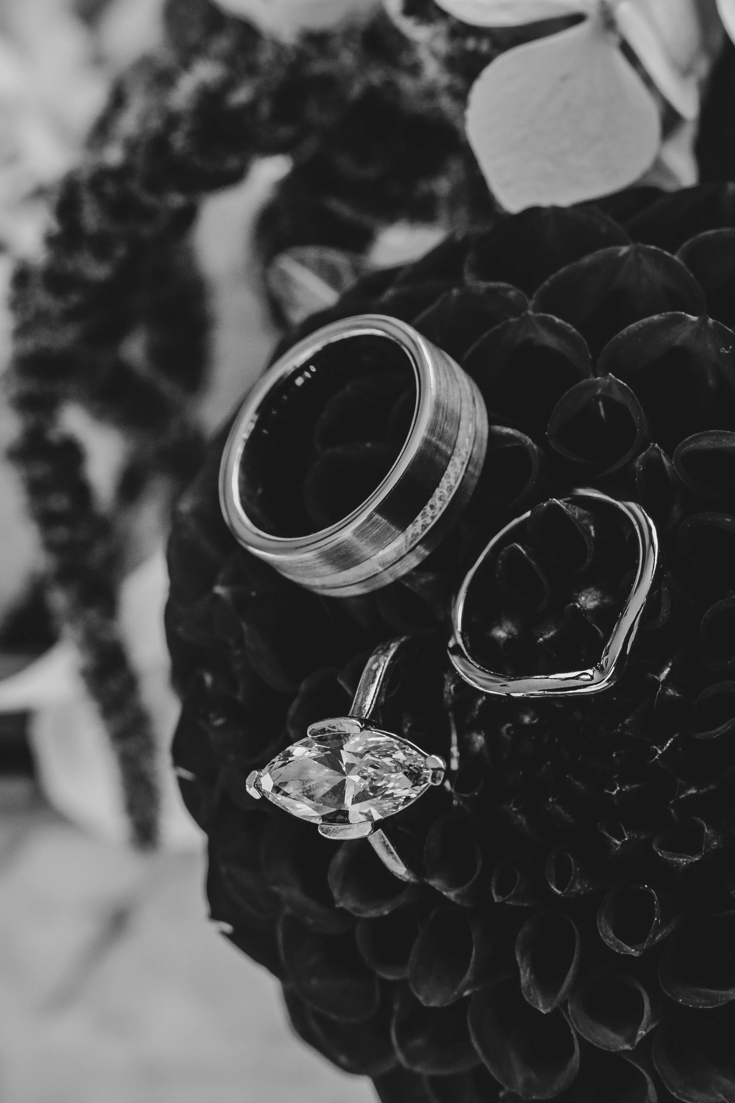 Close-up of a dark pine cone with a shiny diamond ring and a wedding band resting on it, with a paper heart in the background.