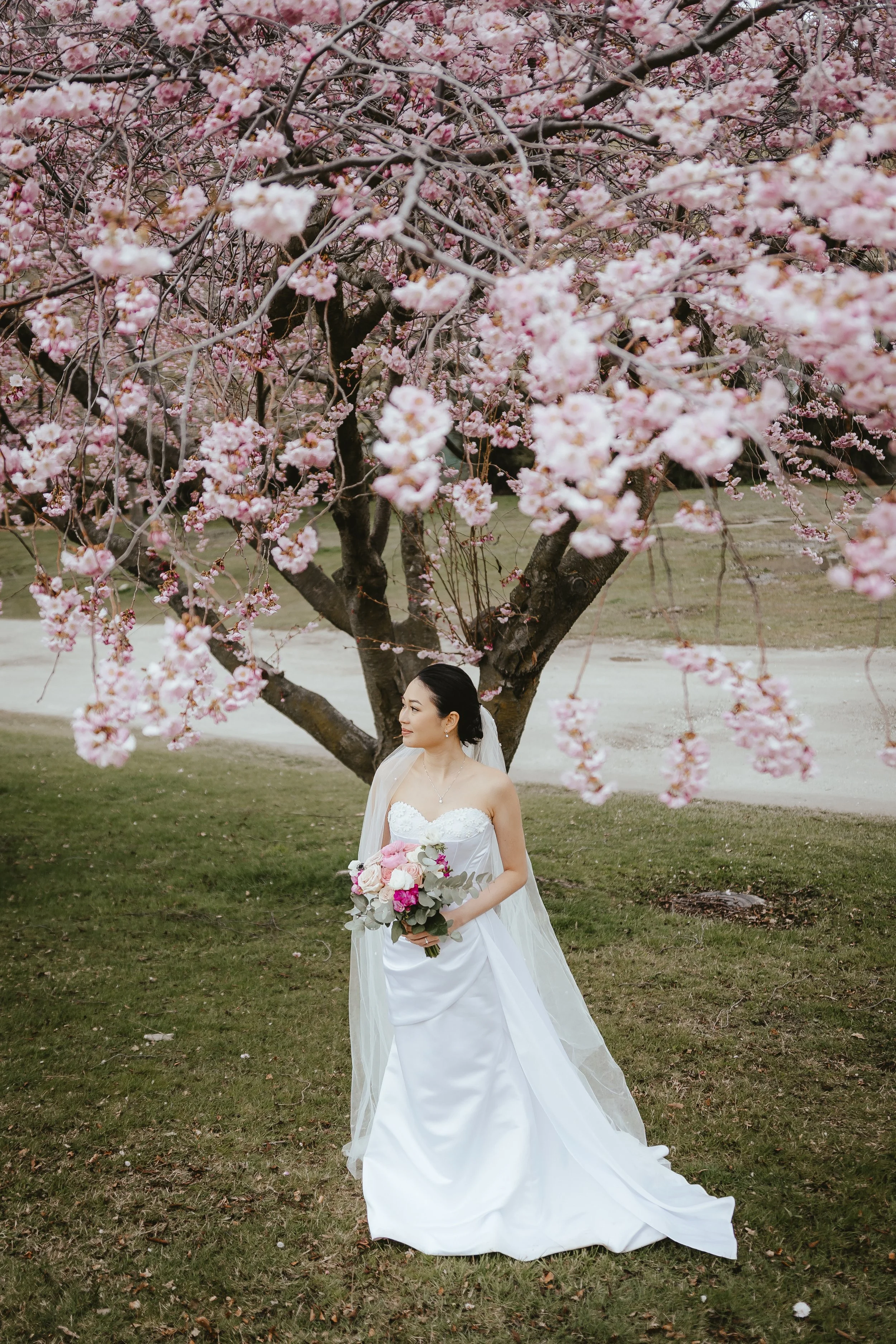 A bride in a white wedding gown stands outdoors under a large cherry blossom tree, holding a bouquet of pink and white flowers, with green grass and a dirt path in the background.