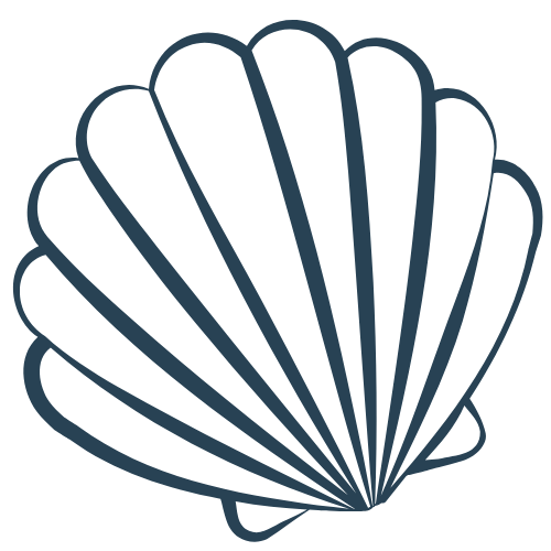 Line icon of a shell representing nacre-derived biomaterial used in PearlBone™