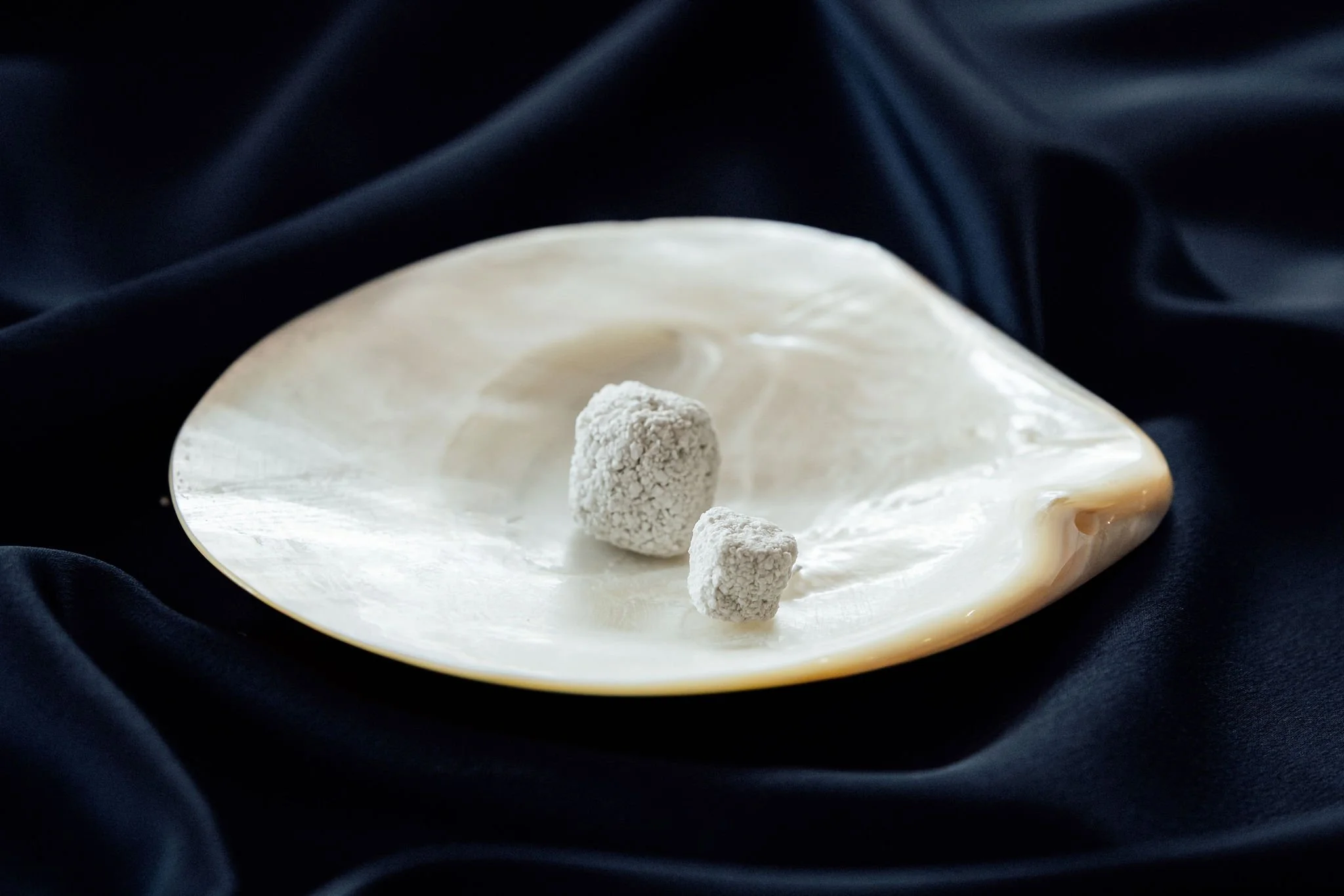PearlBone™ biomaterial presented on a pearl shell, demonstrating marine-derived origin